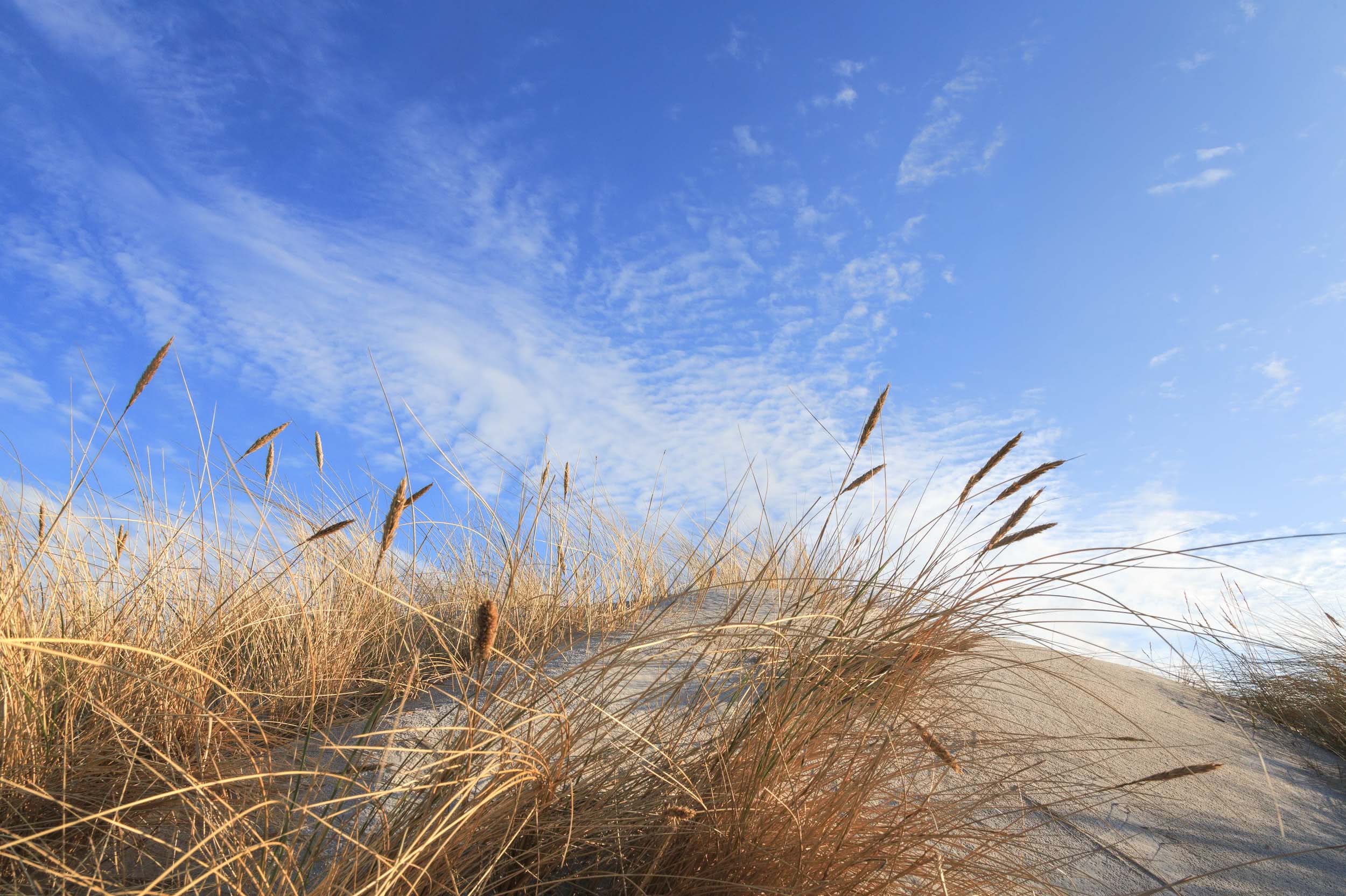 Landschaftsfotografie