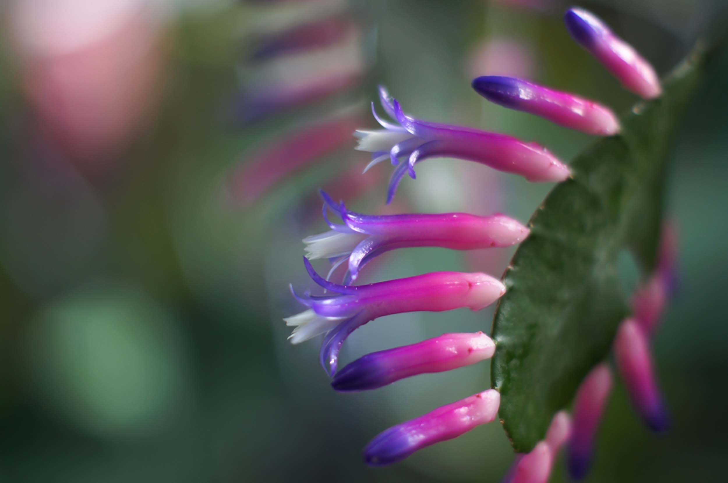 24.04.2014 - Botanischer Garten
