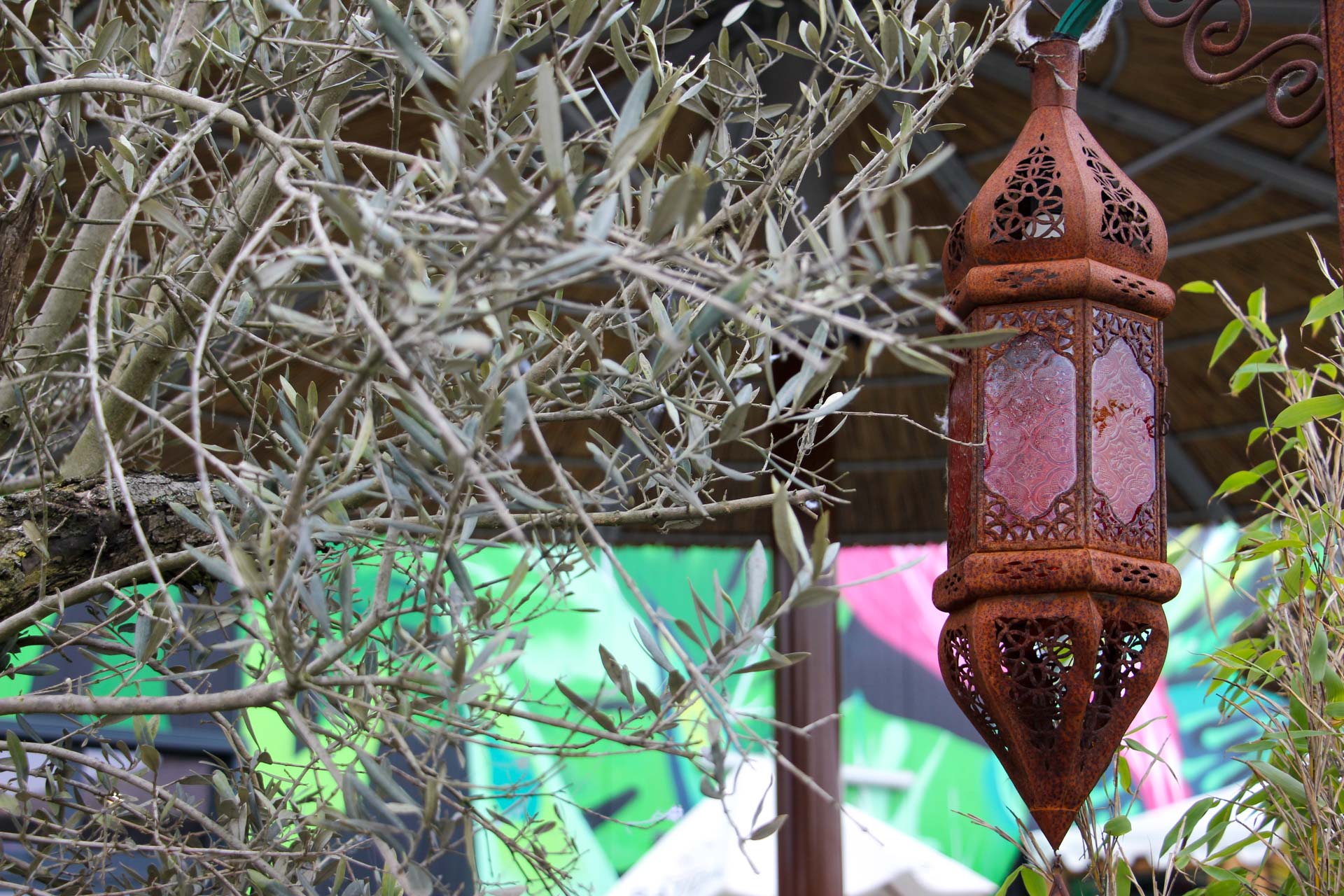 Foto: Ricarda Waltering