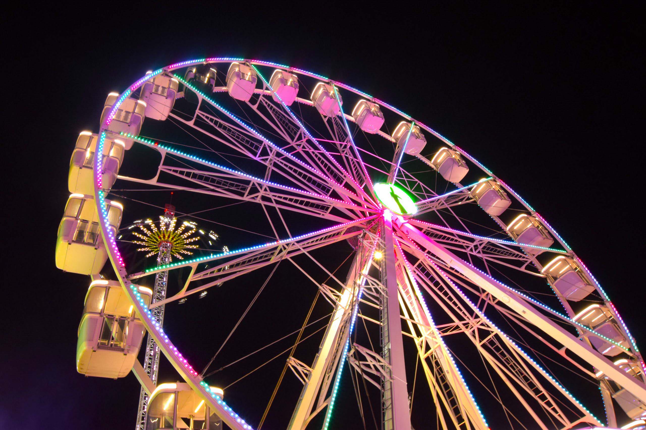 Foto: Tatiana Nedvetskaya