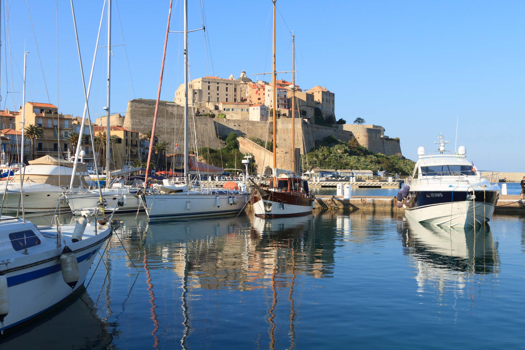 Calvi