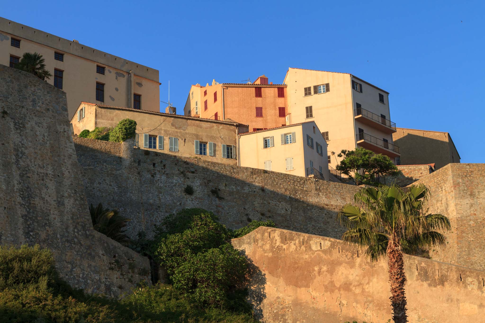 Calvi