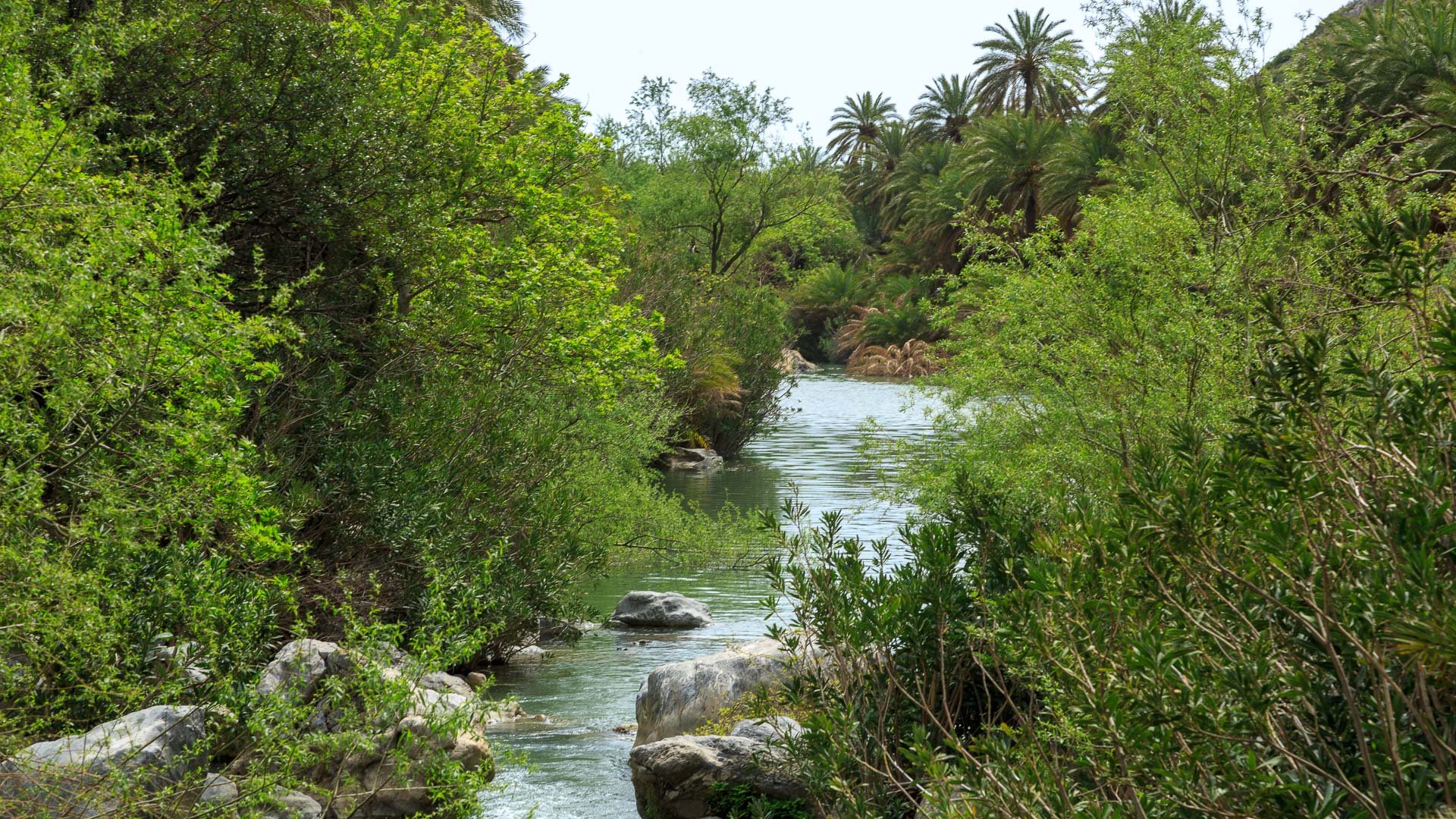 Palmenstrand von Preveli