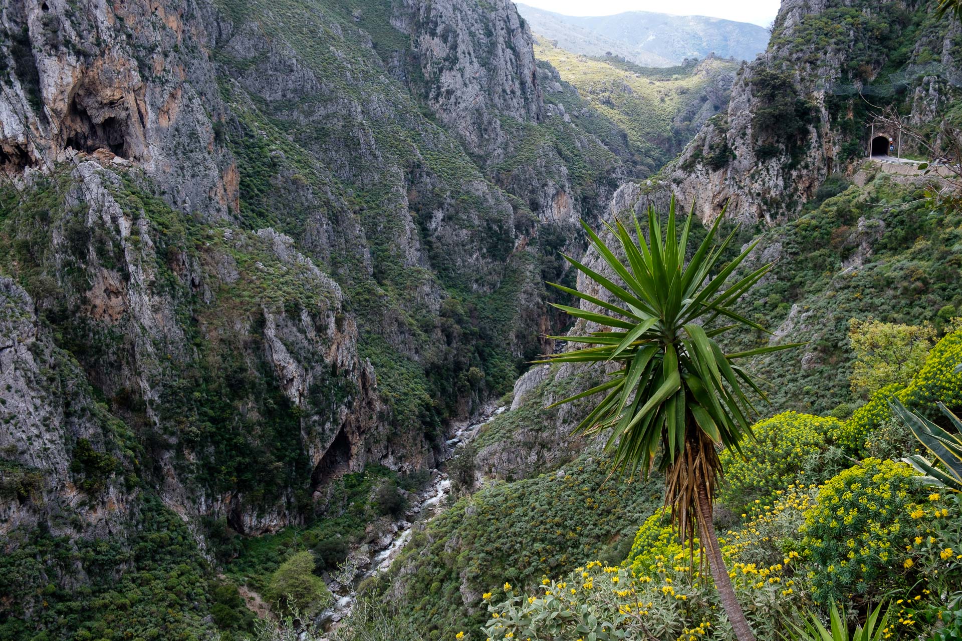 Schlucht von Topolia