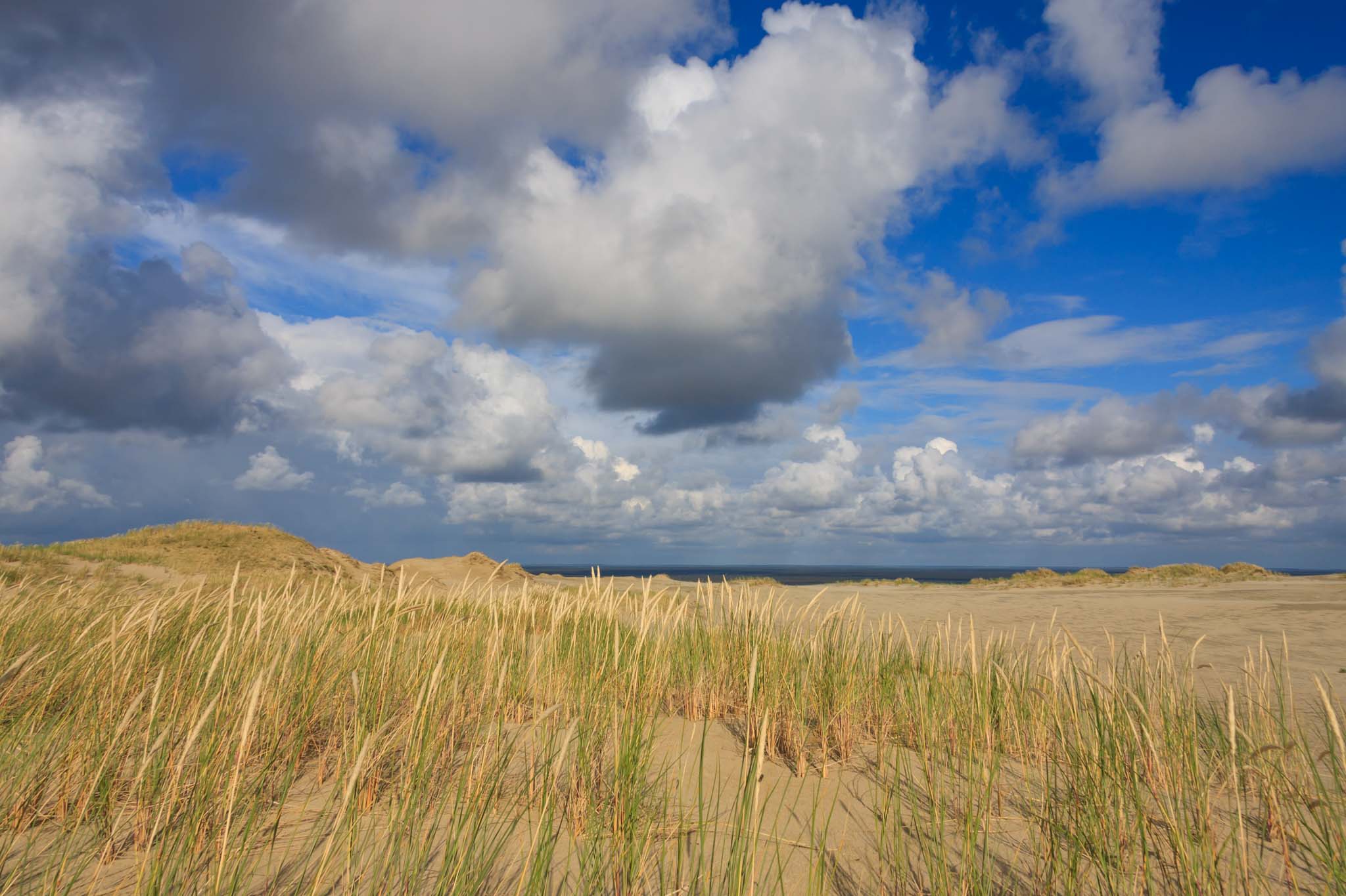 Hohe Düne bei Nida