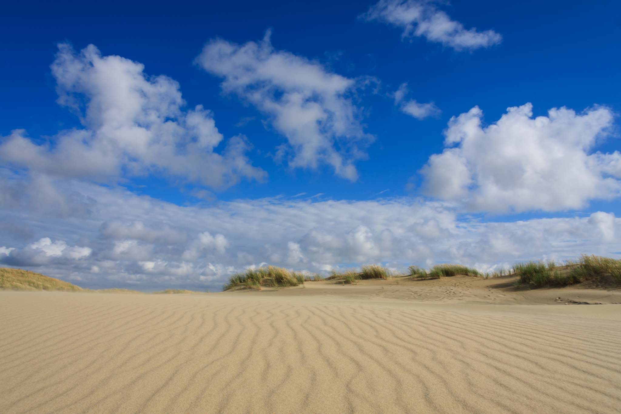 Hohe Düne bei Nida