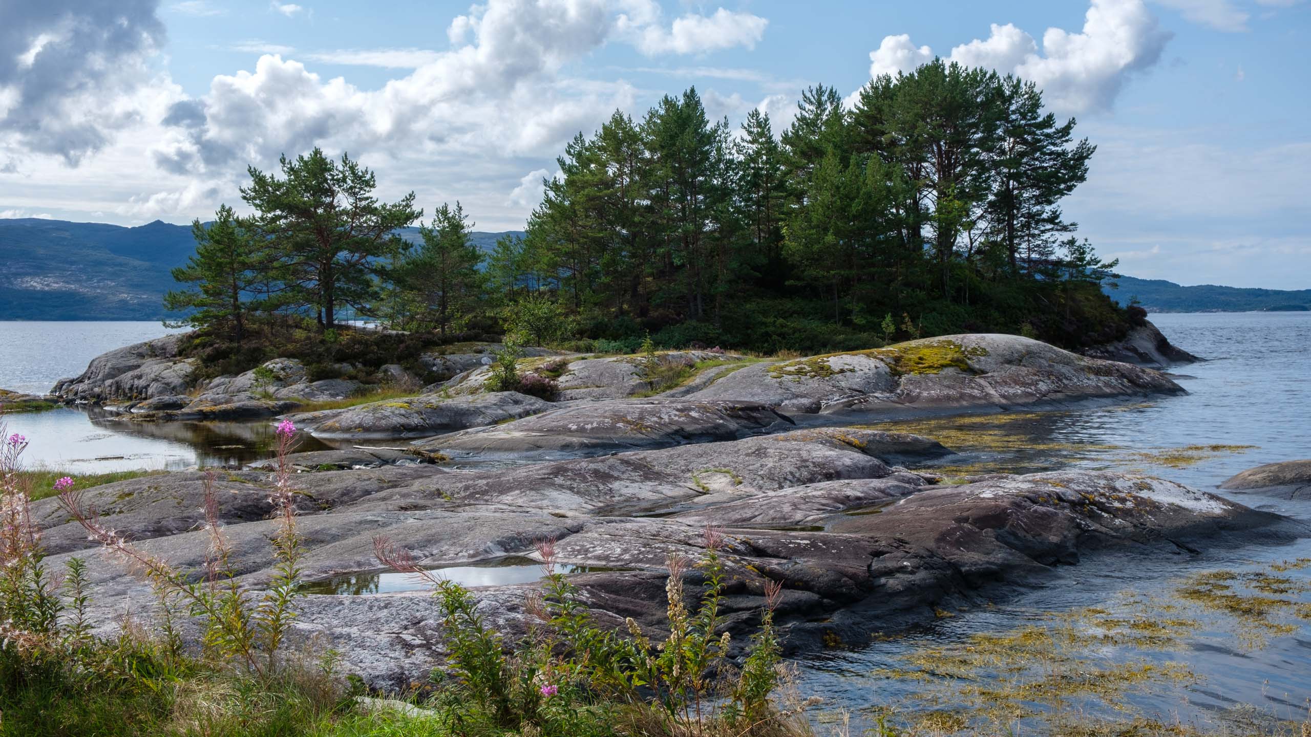 Rysjedalsvika Ferry Terminal
