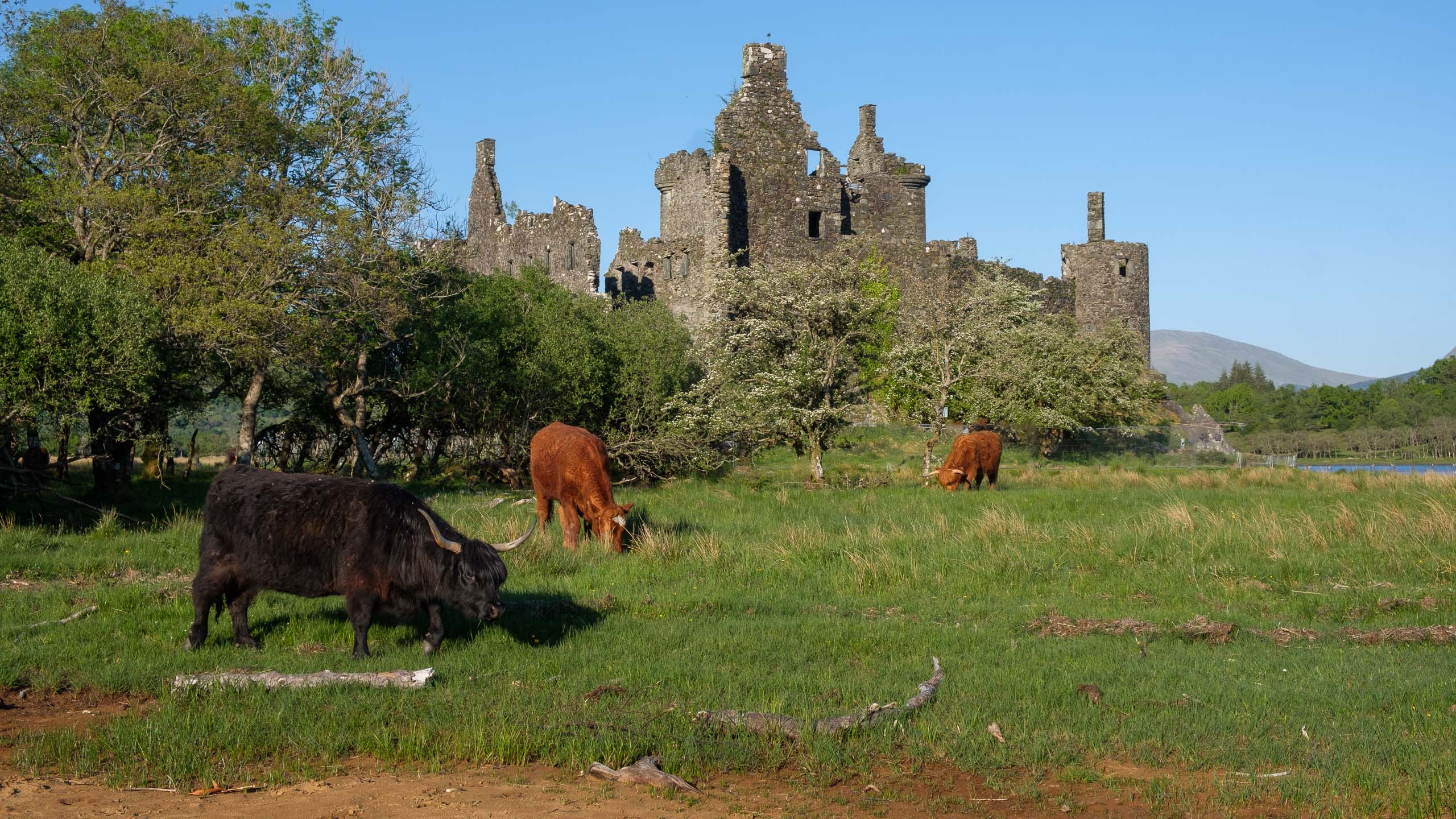 Kilchurn Castle