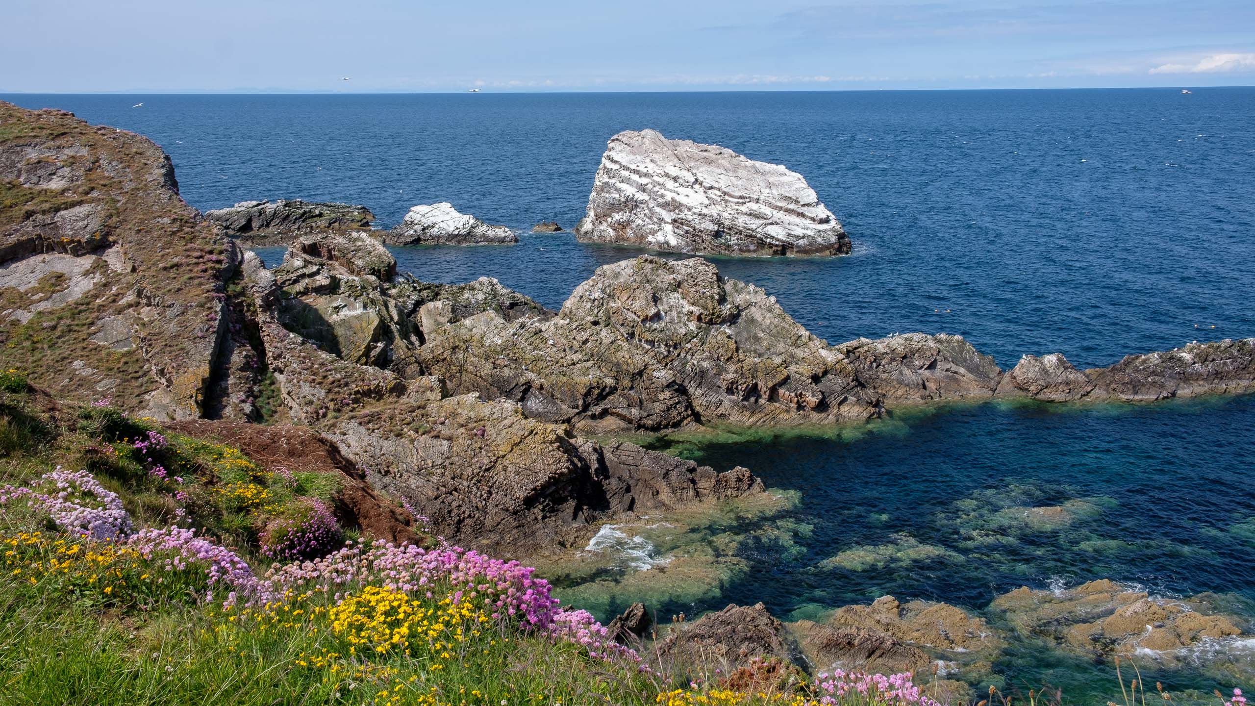 Bow Fiddle Rock