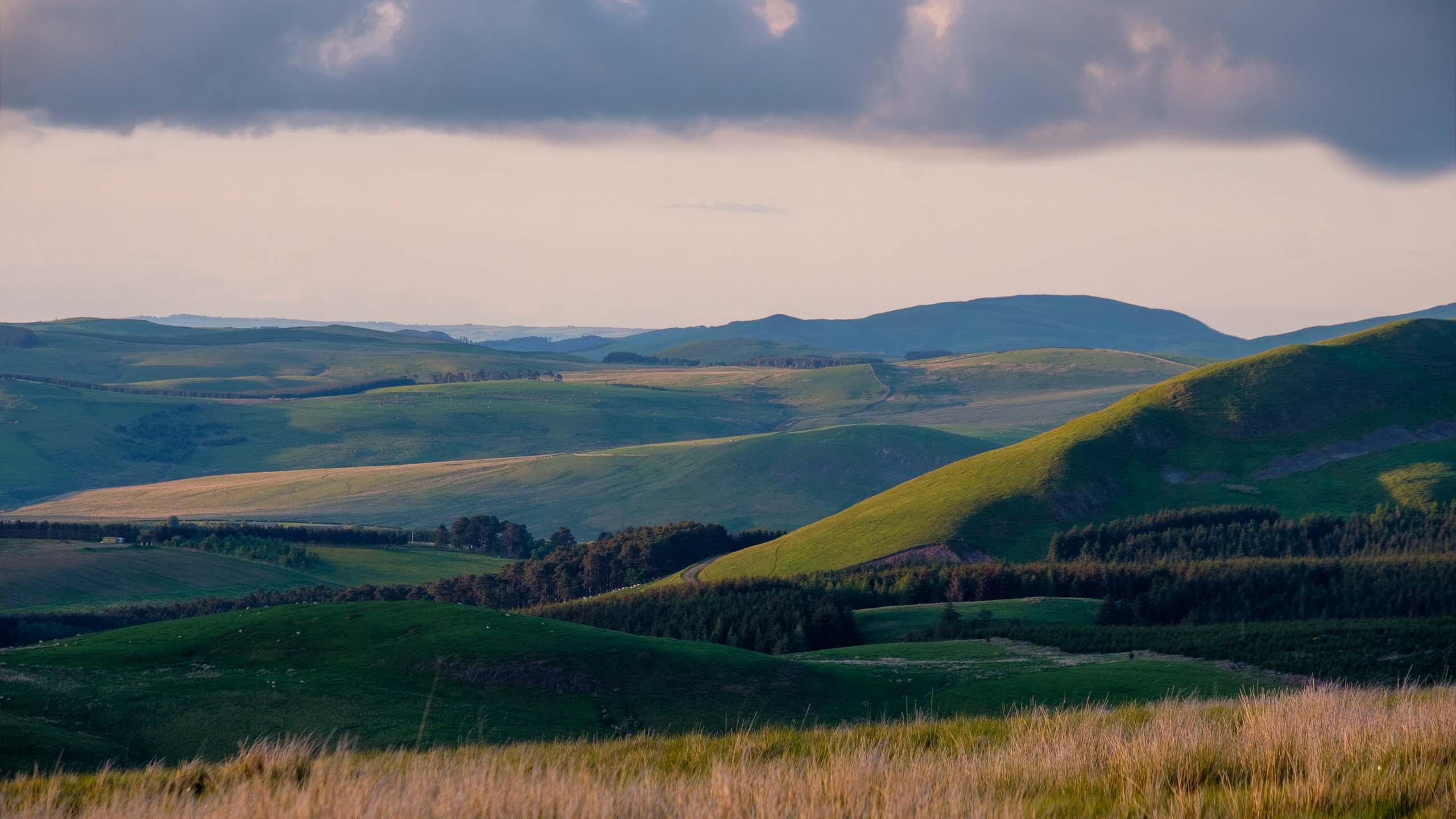 Scottish Borders