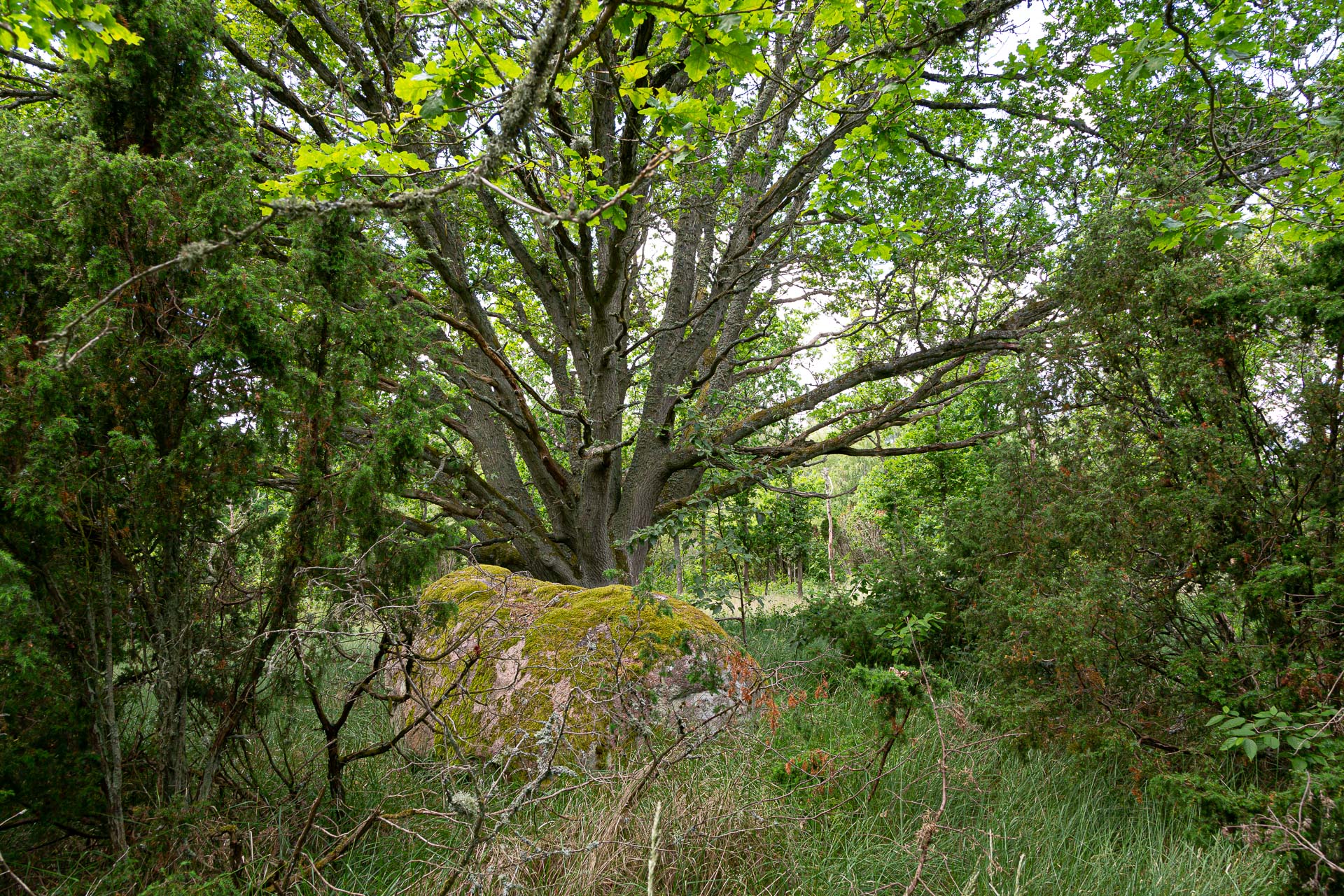 Stenso (Kalmarsund)