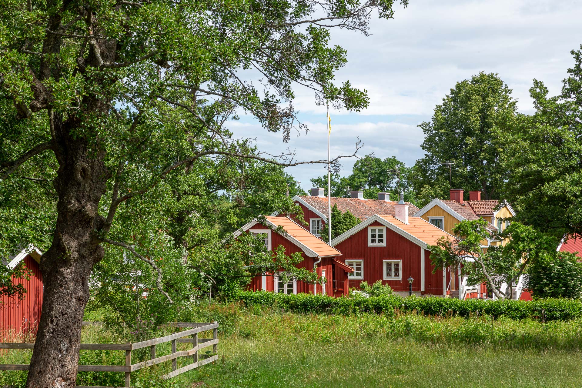 Pataholm