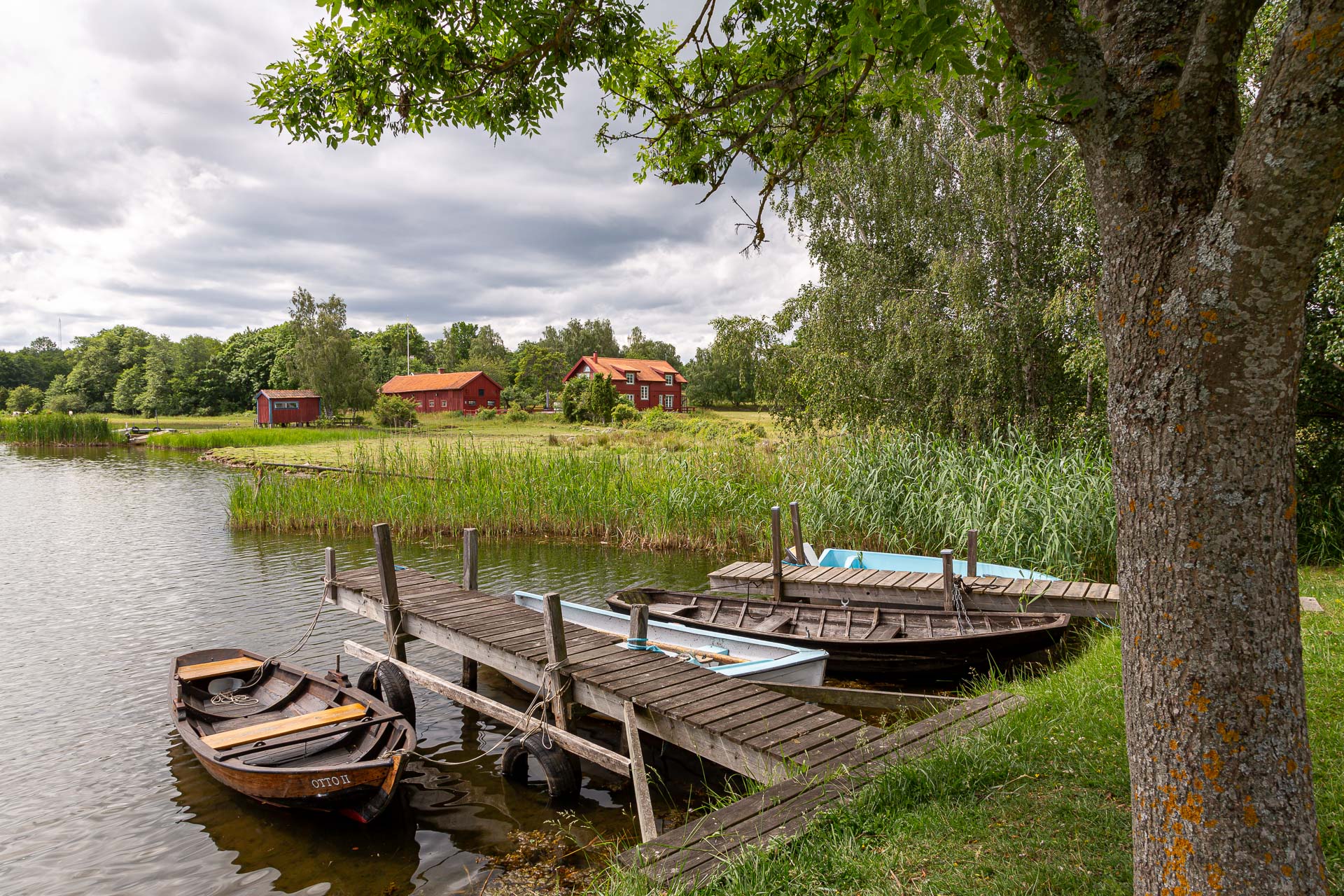 Pataholm