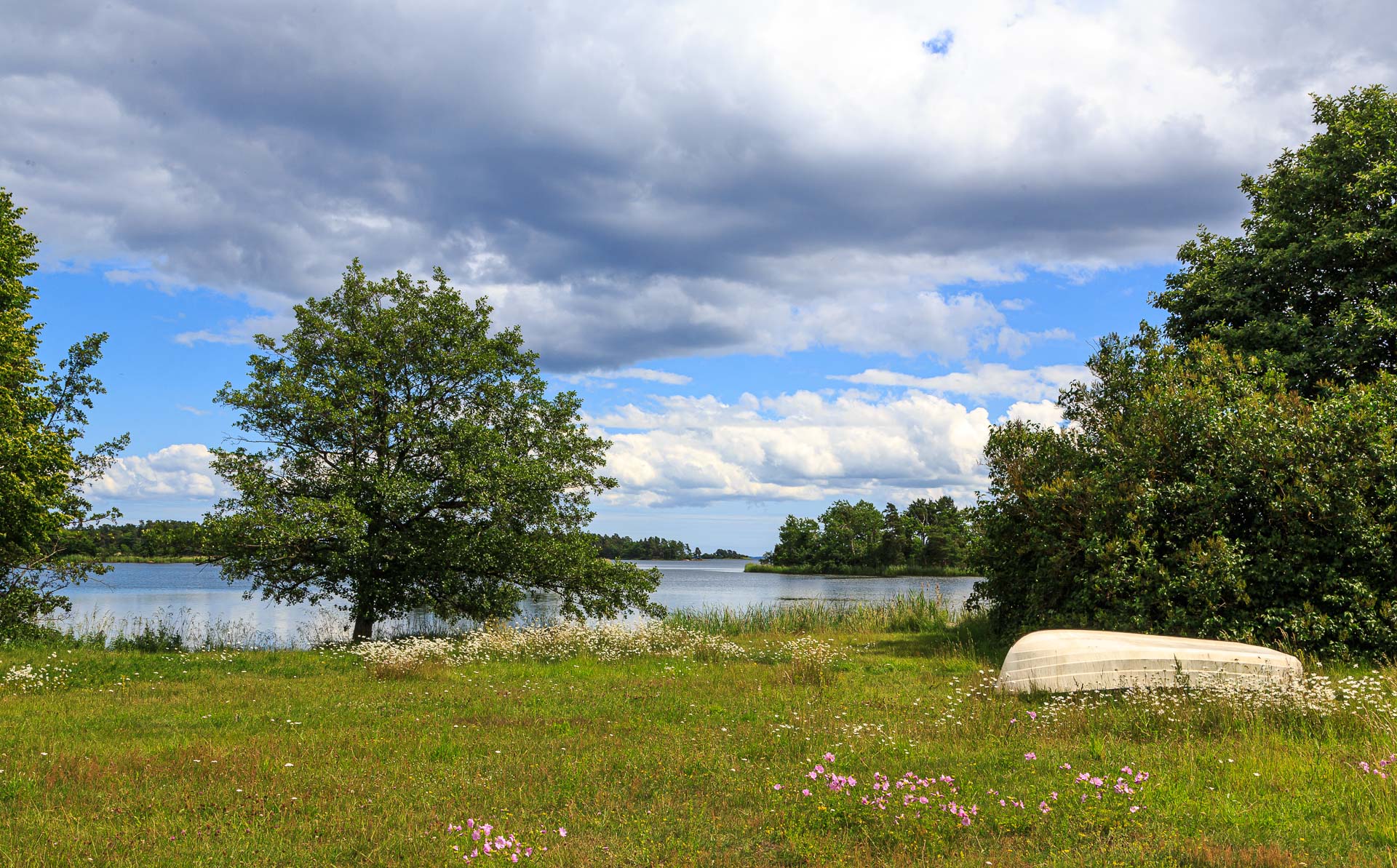 Pataholm