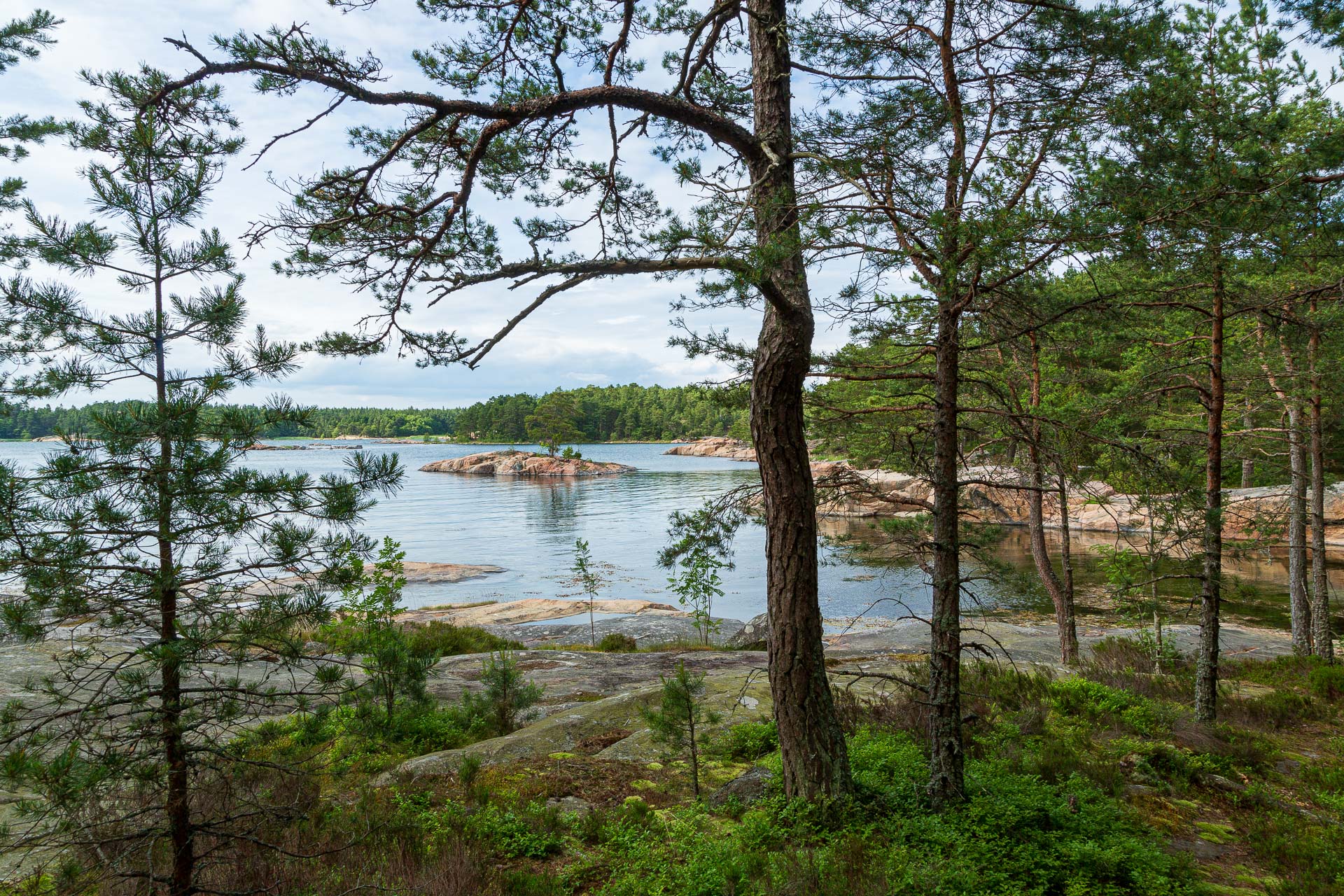 Stendörren Naturreservat