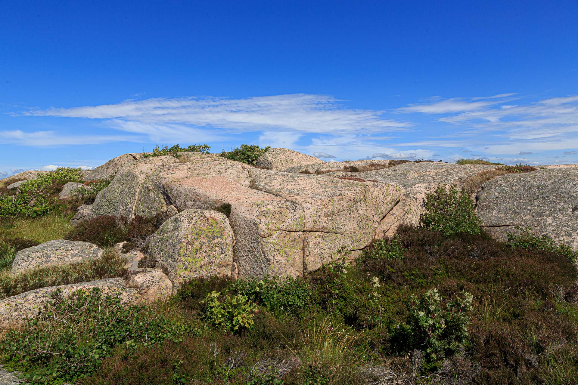 Kungshamn