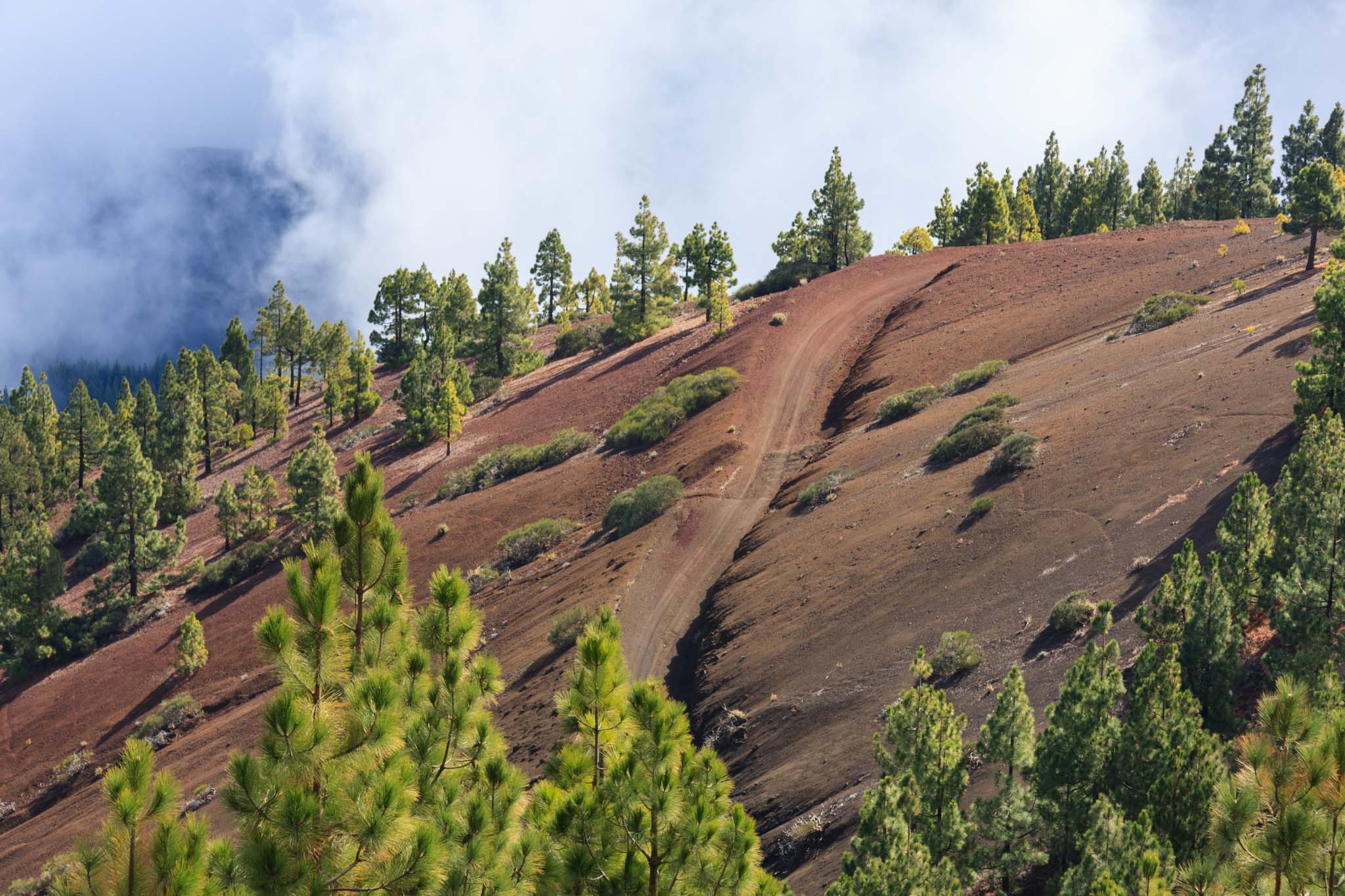 Valle de Güimar