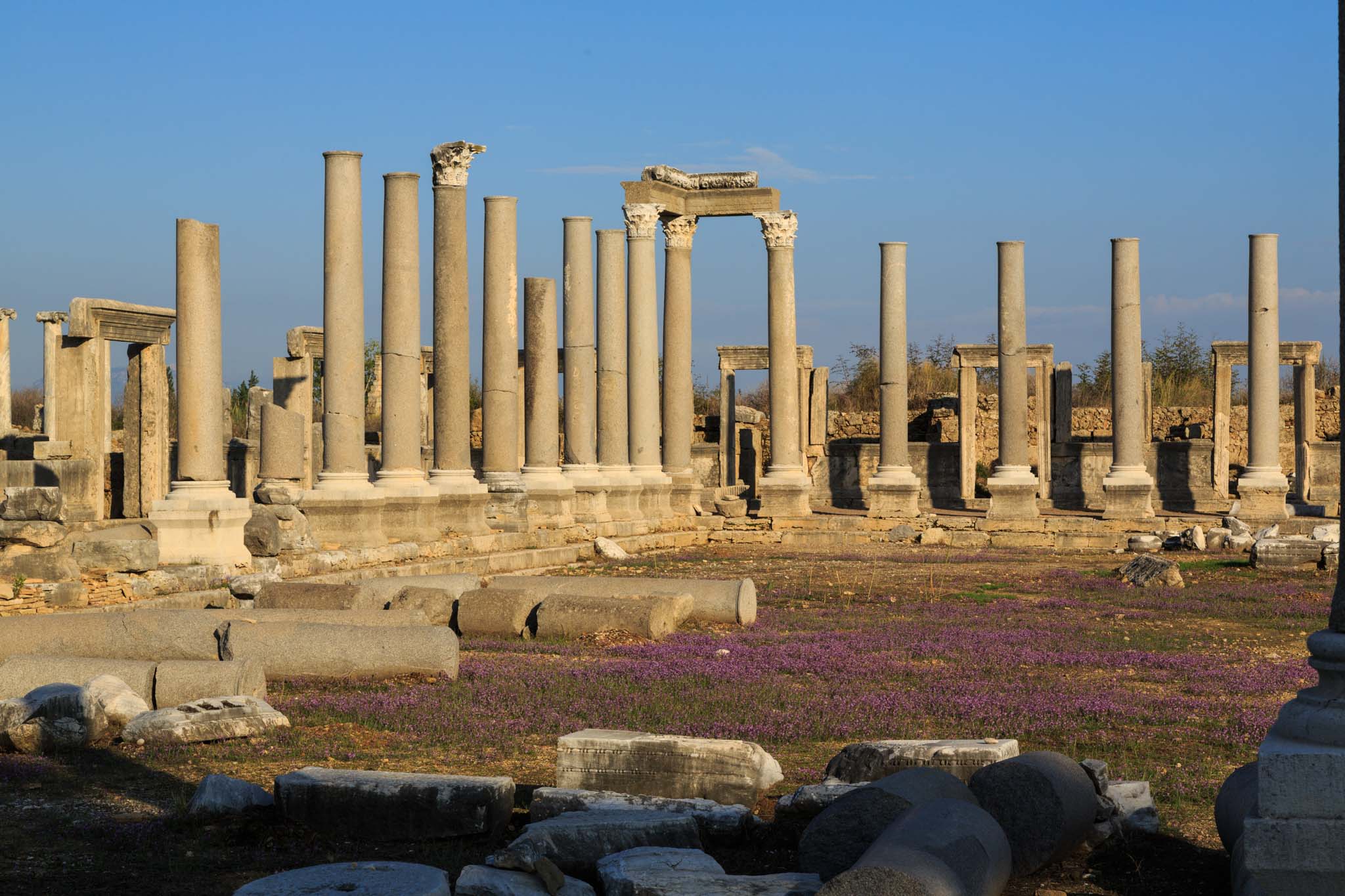 Perge