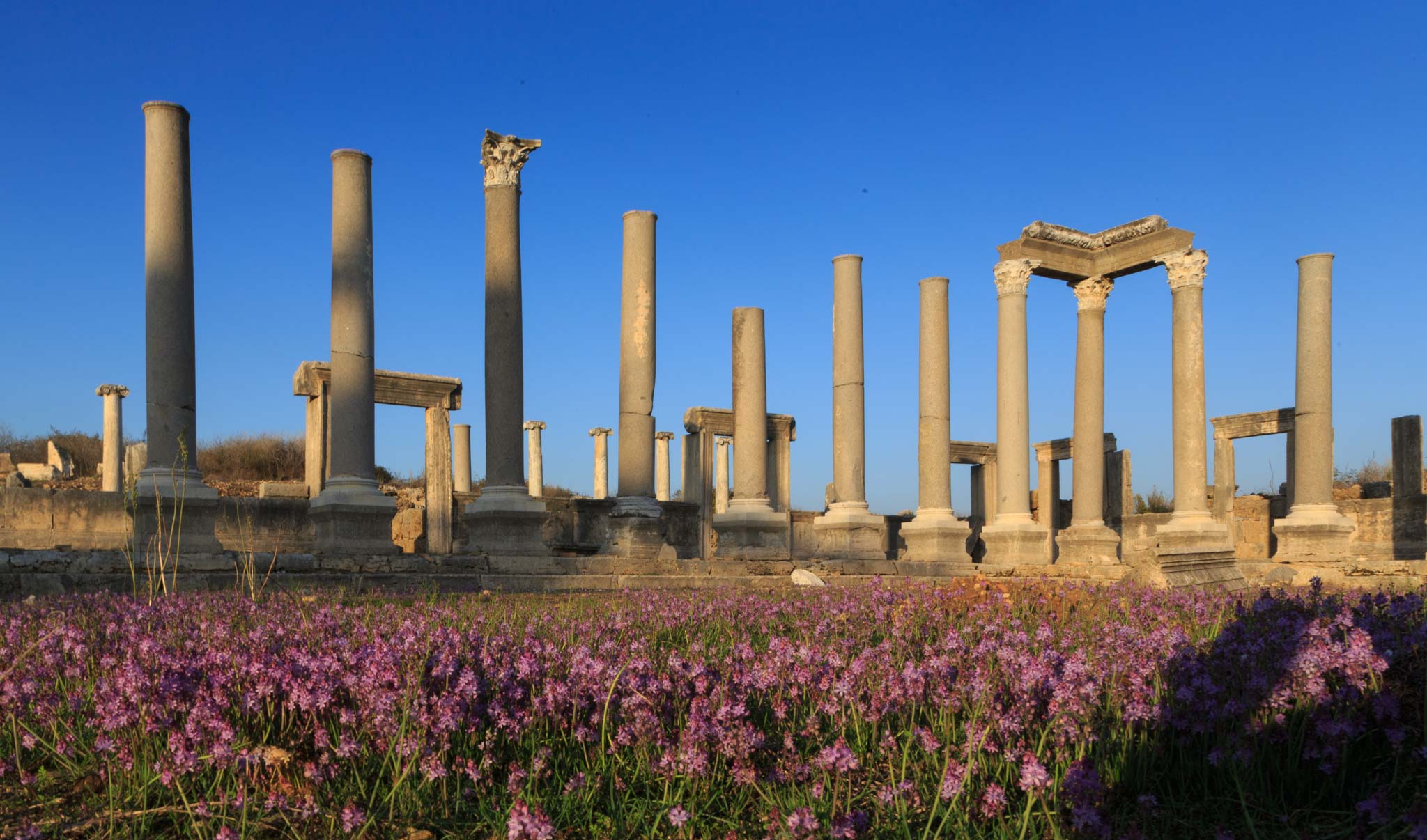 Perge