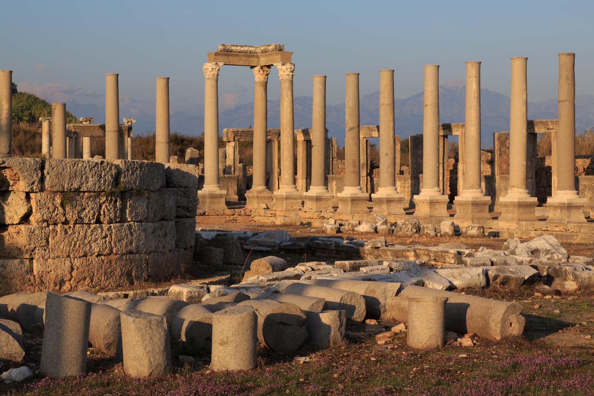 Perge