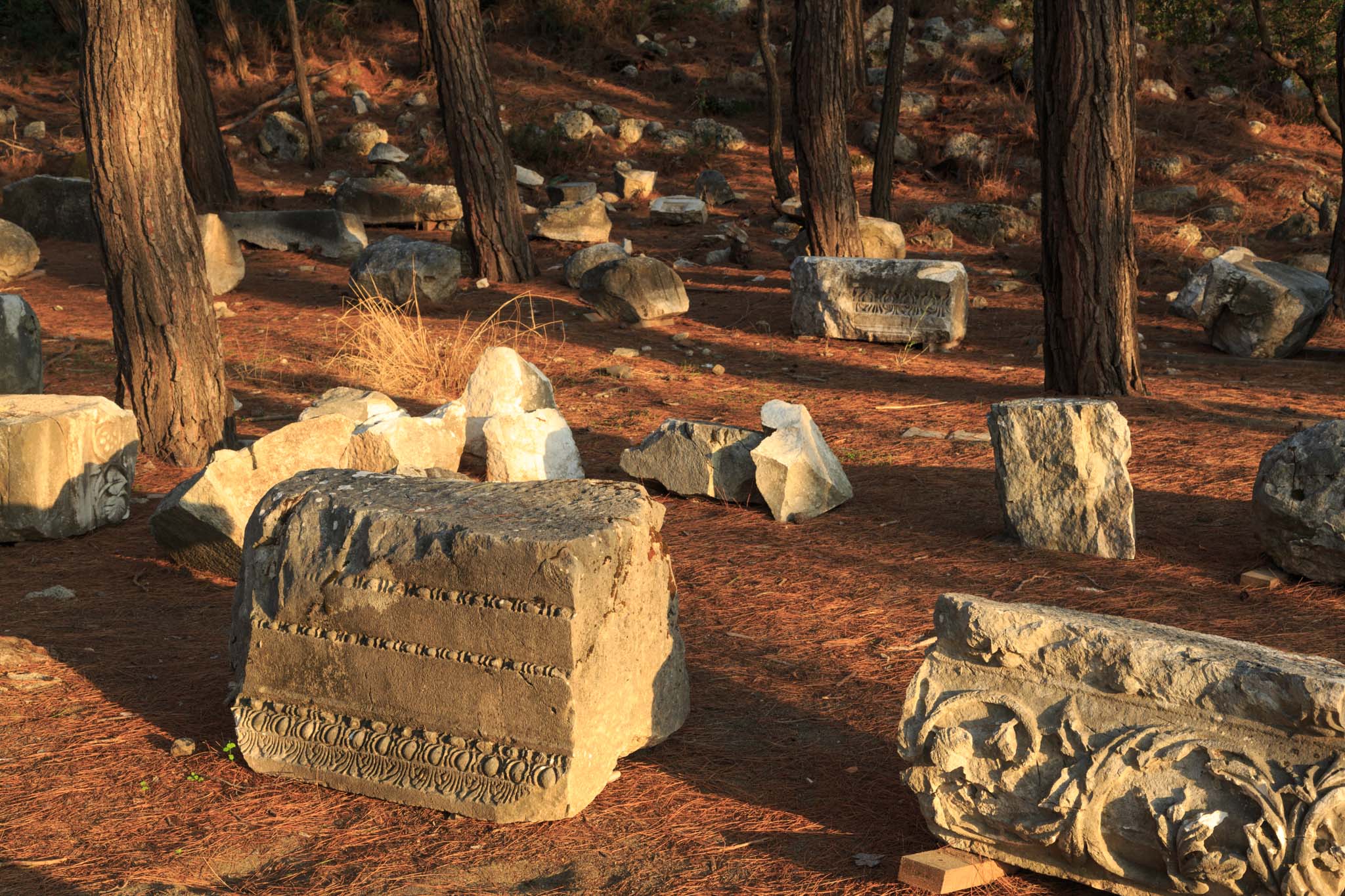 Phaselis