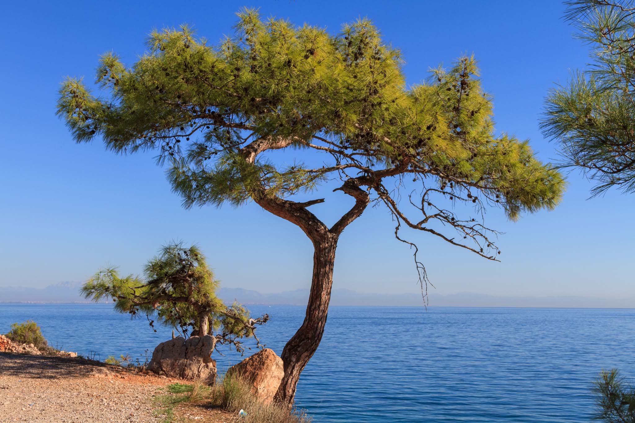 TUR10 0376