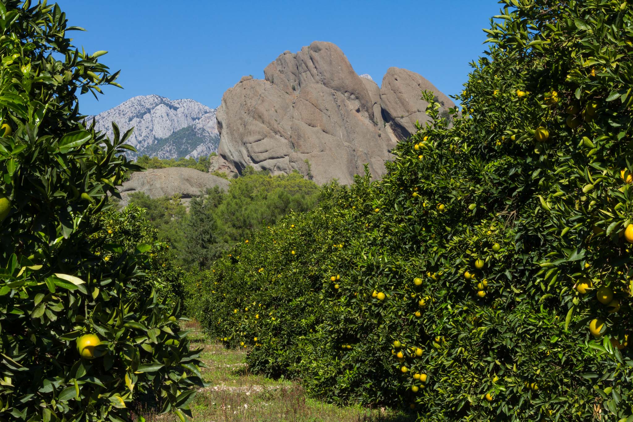 TUR10 0384