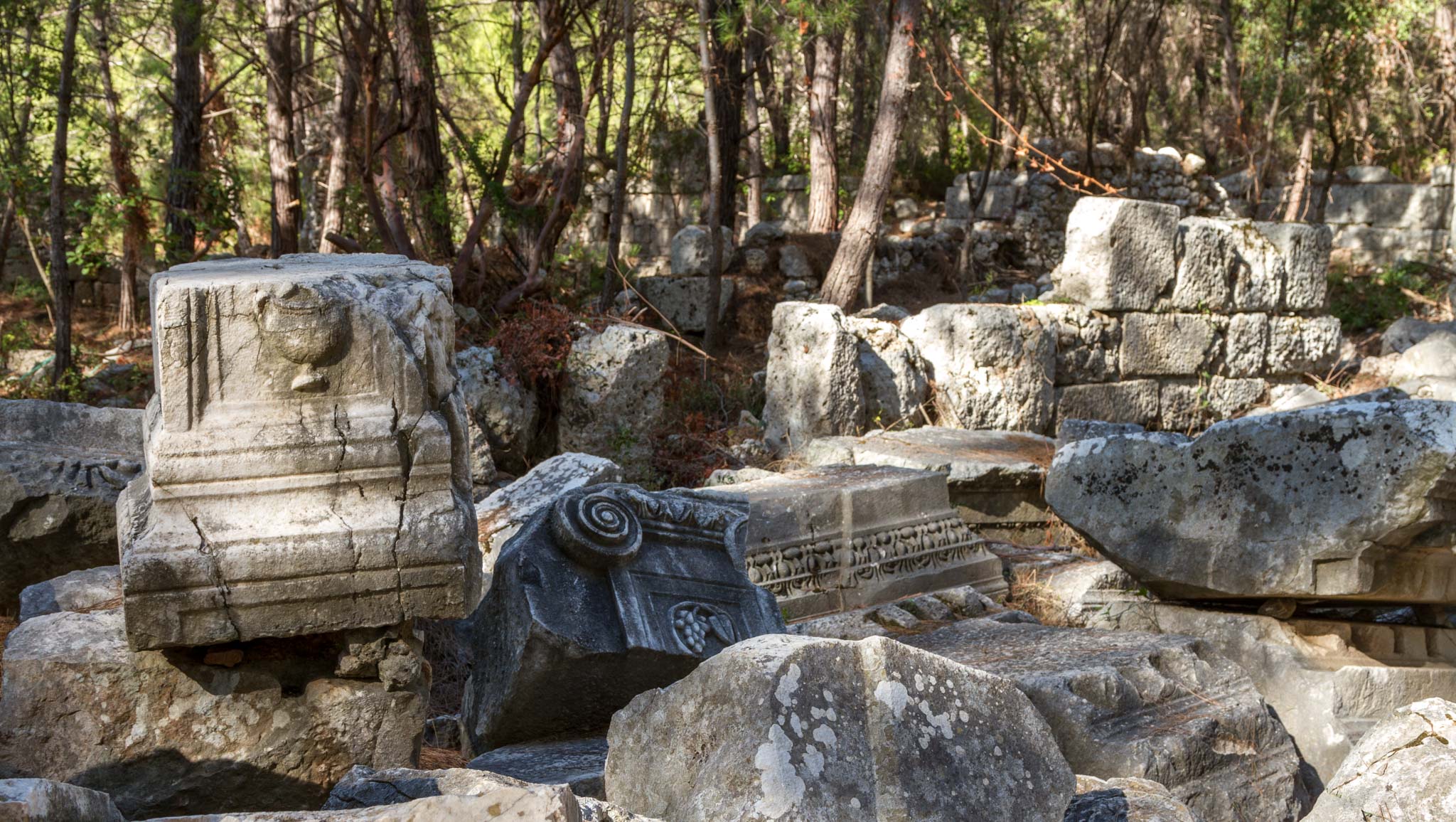 Phaselis