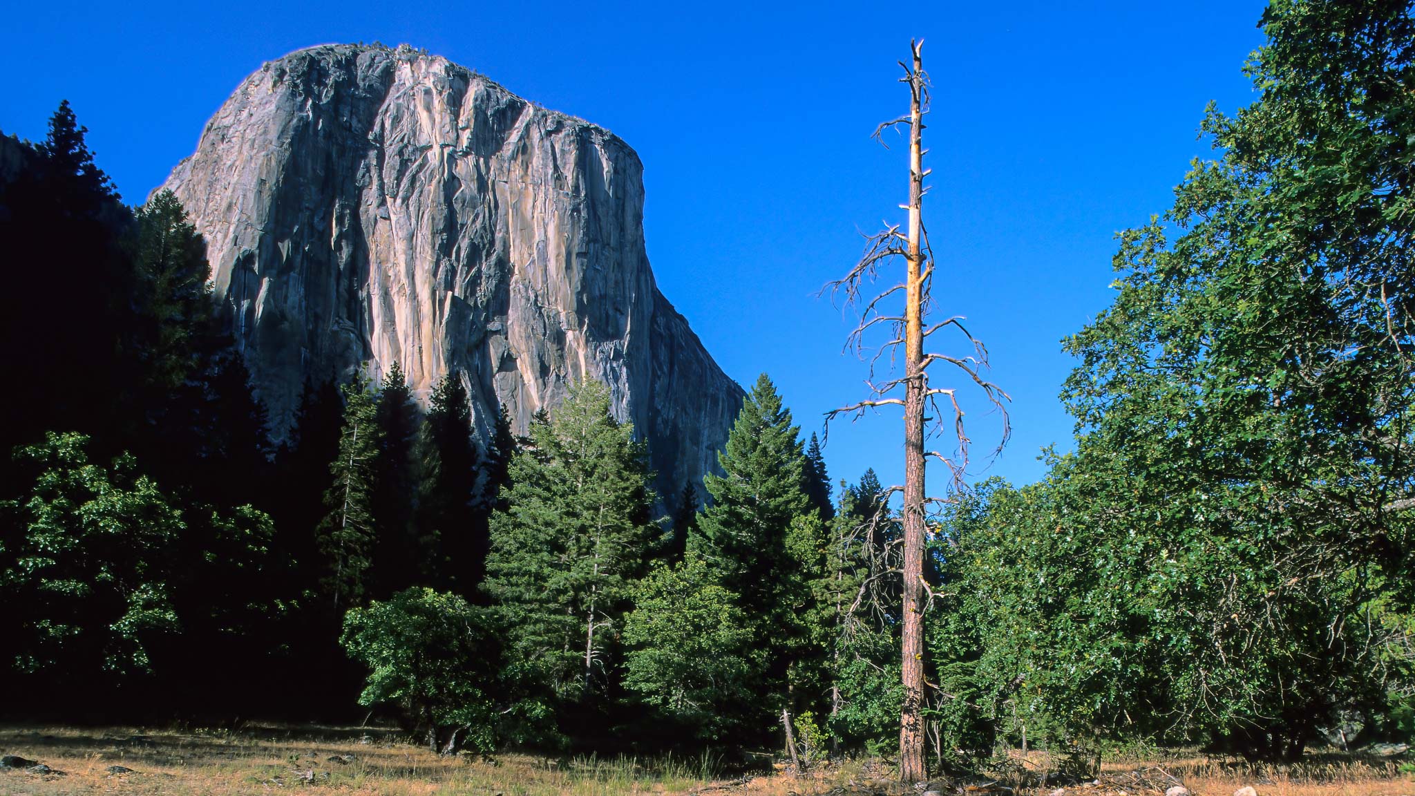 Yosemite NP