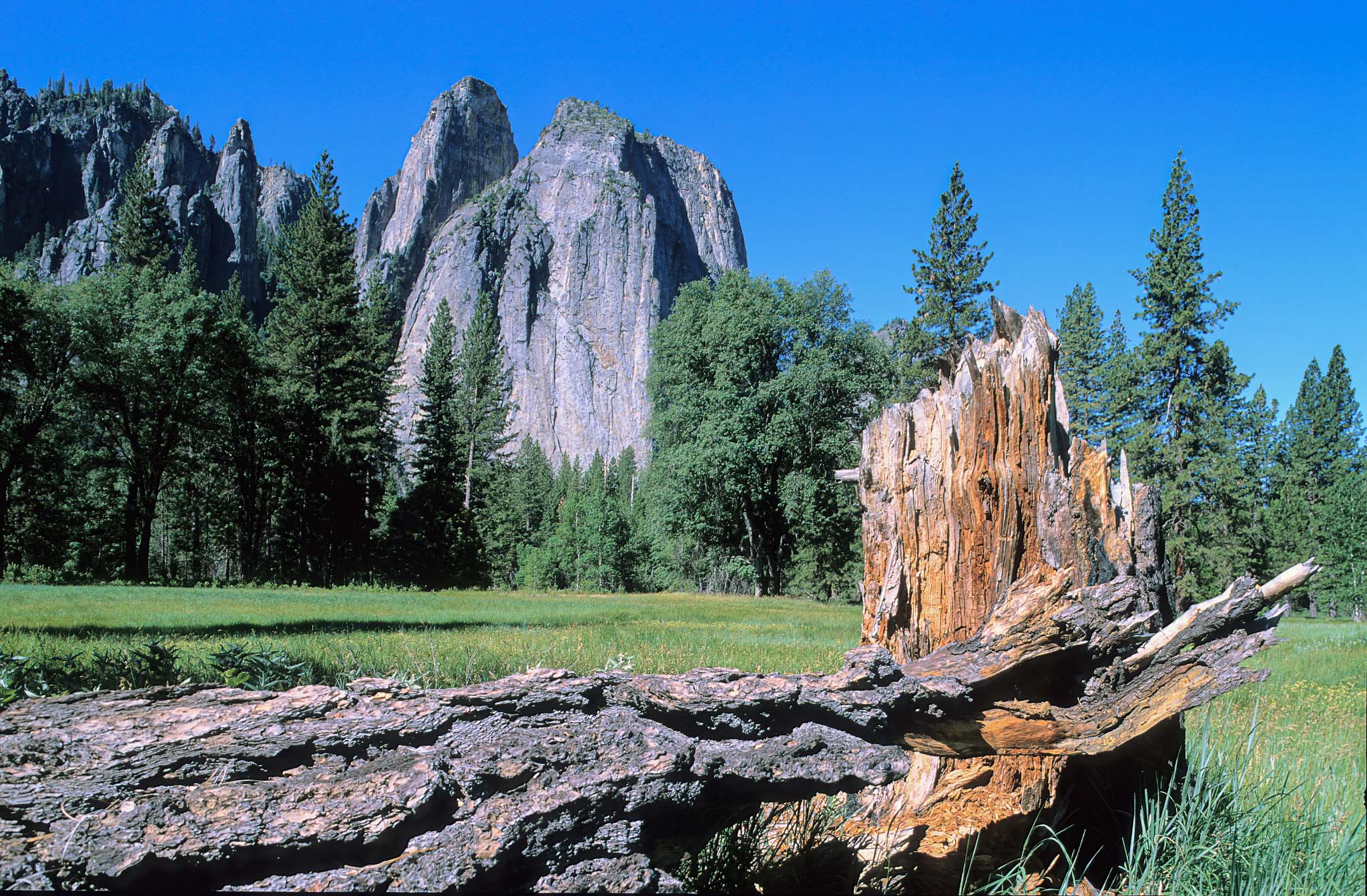 Yosemite NP