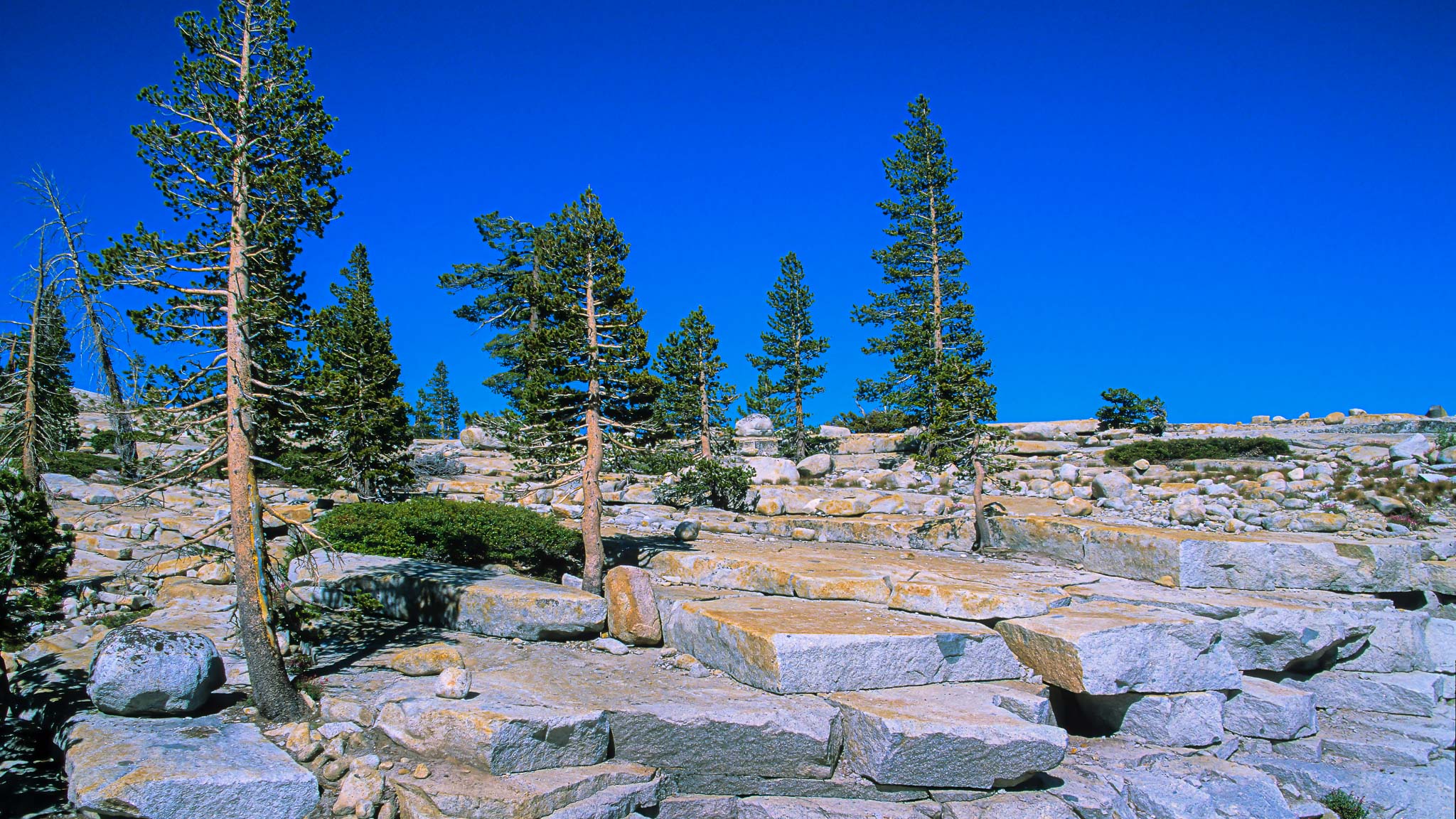 Yosemite NP