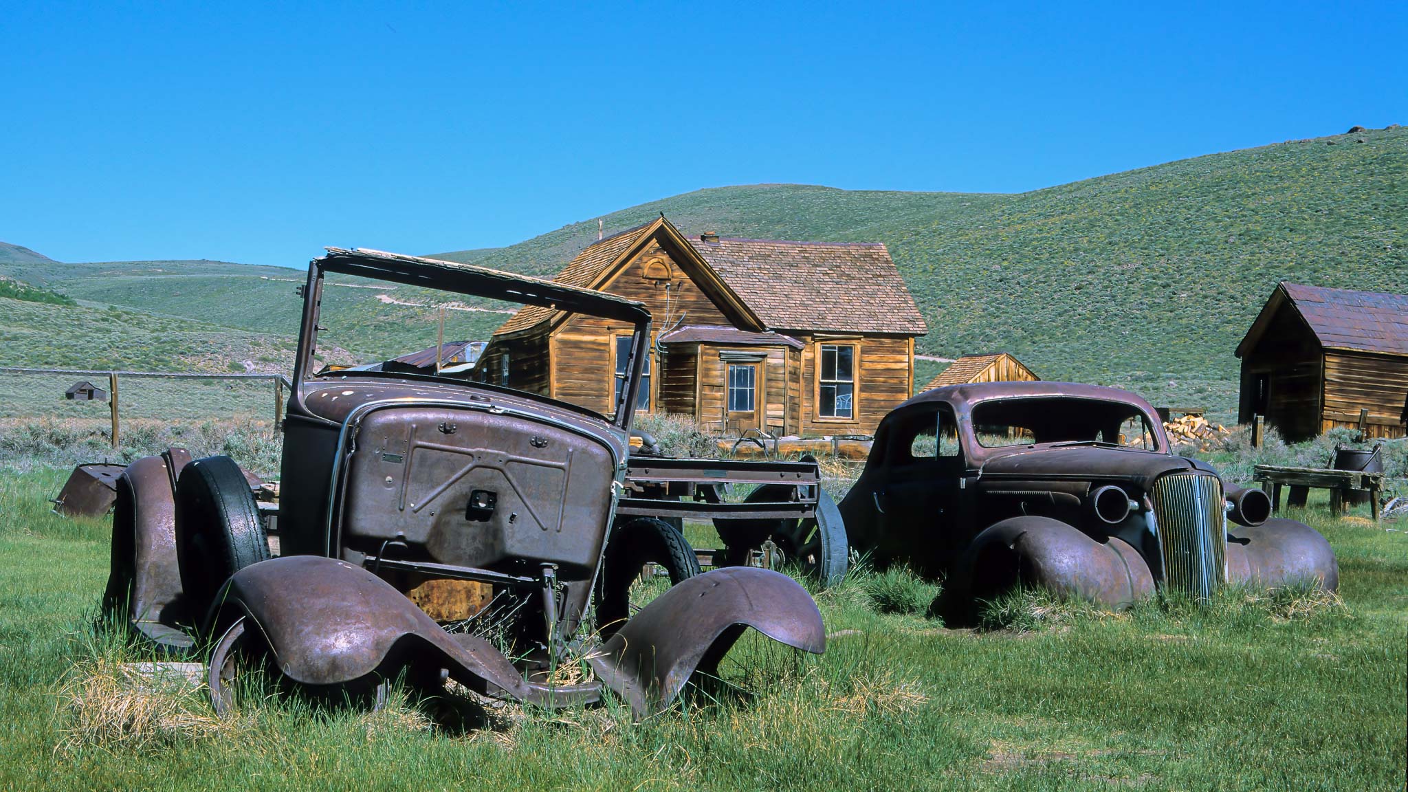 Bodie