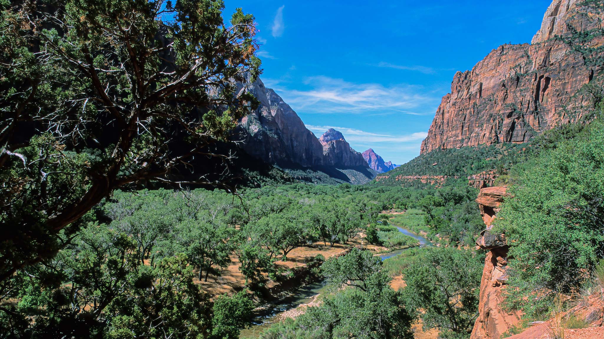 Zion NP