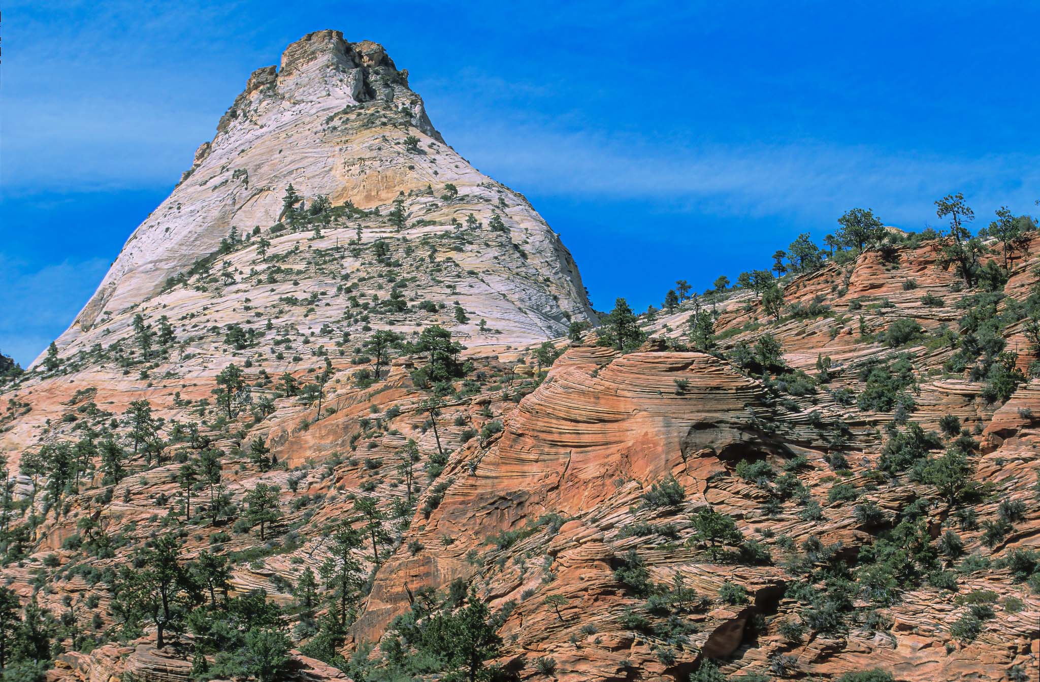 Zion NP