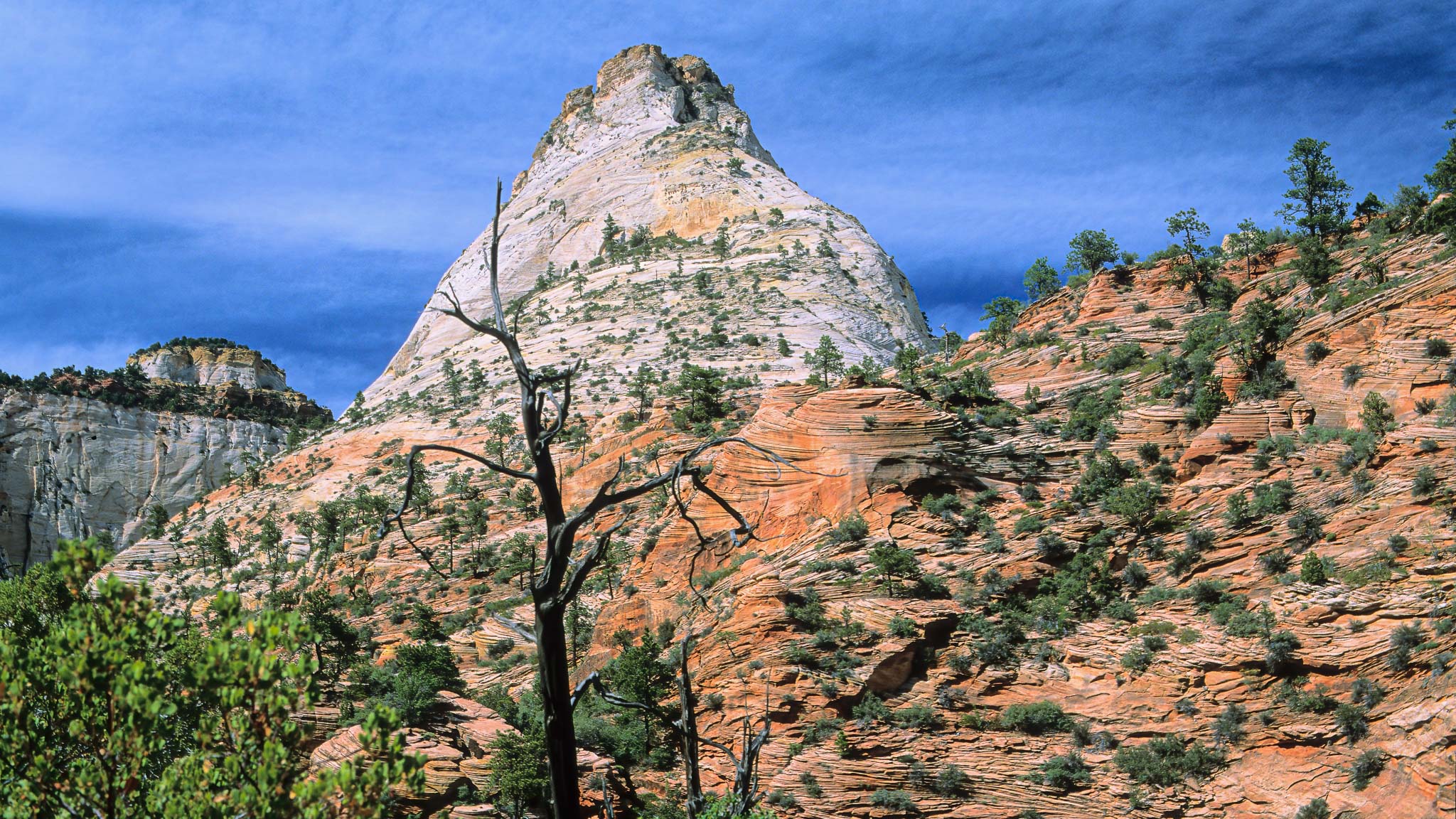 Zion NP
