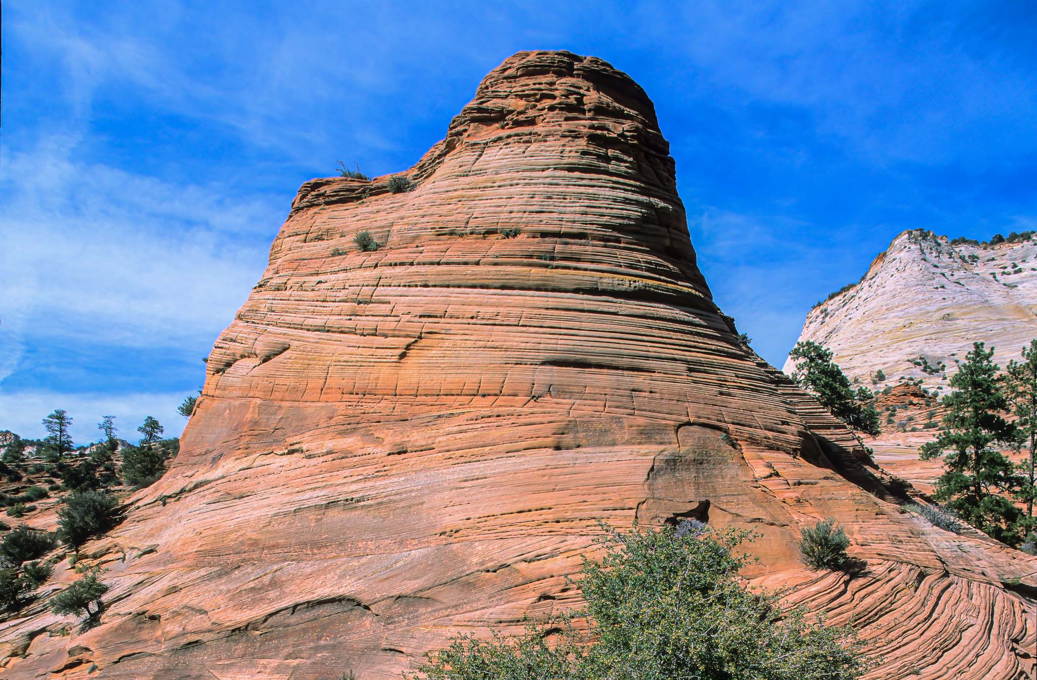 Zion NP