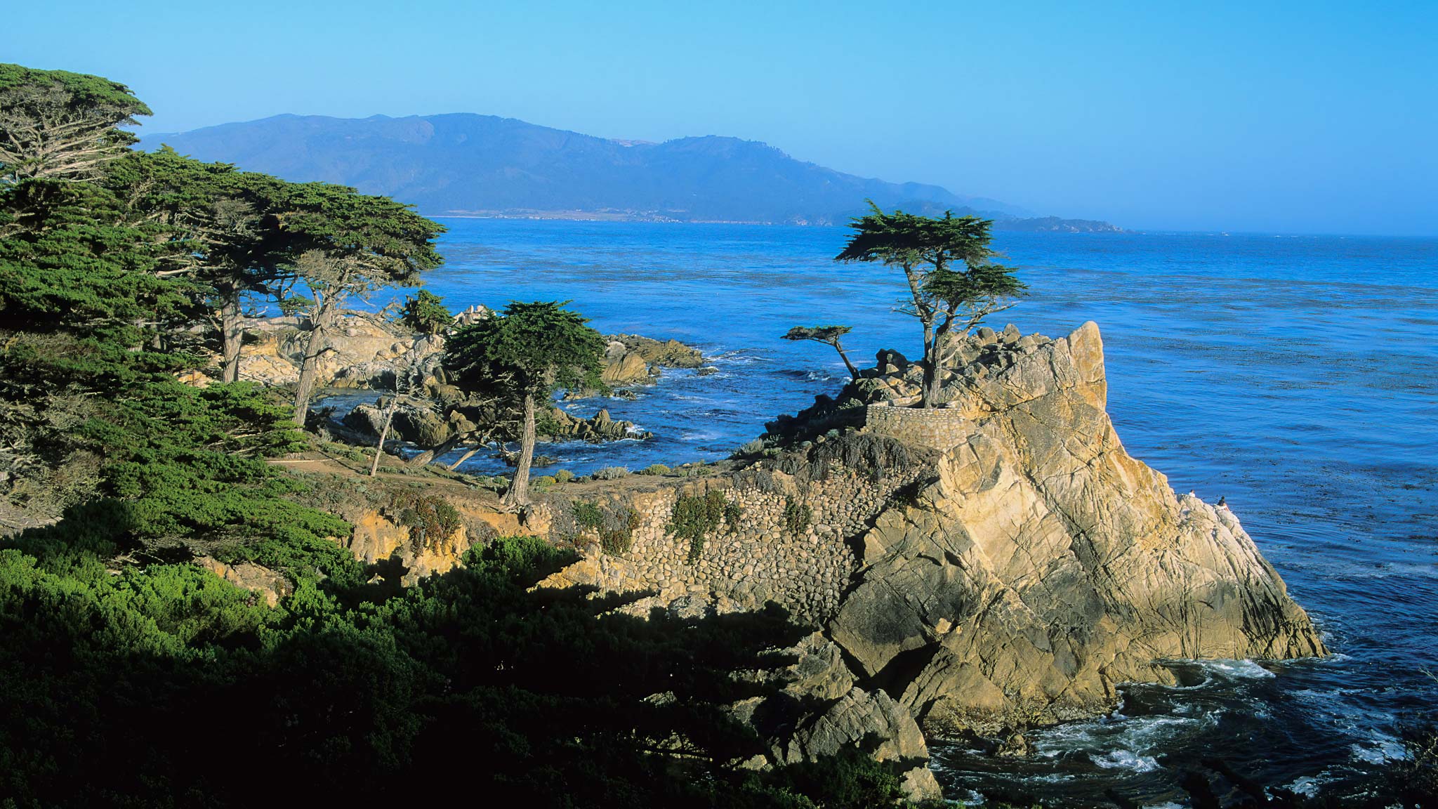 The Lone Cypress, Pebble Beach CA