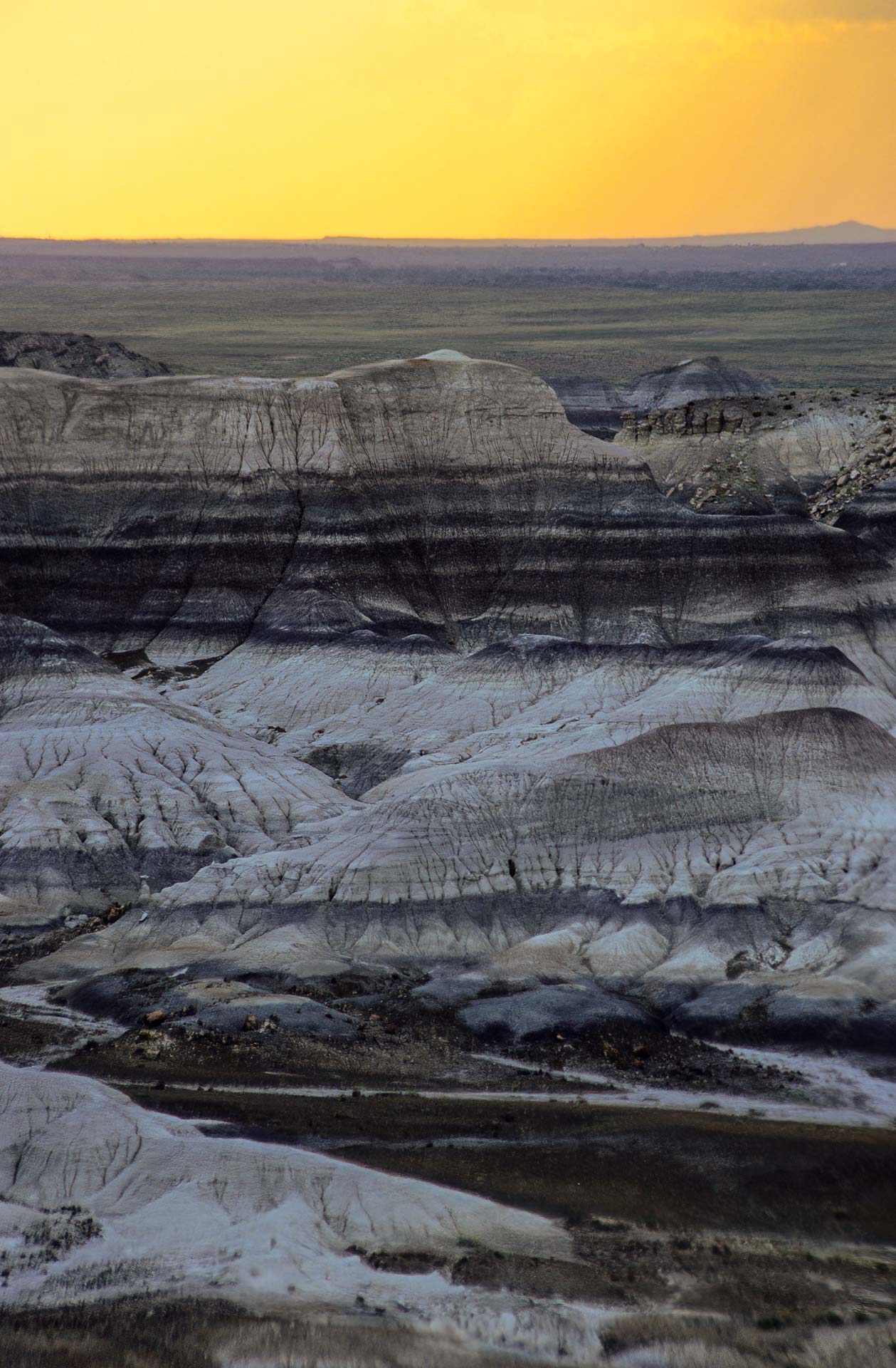Petrified Forest NP