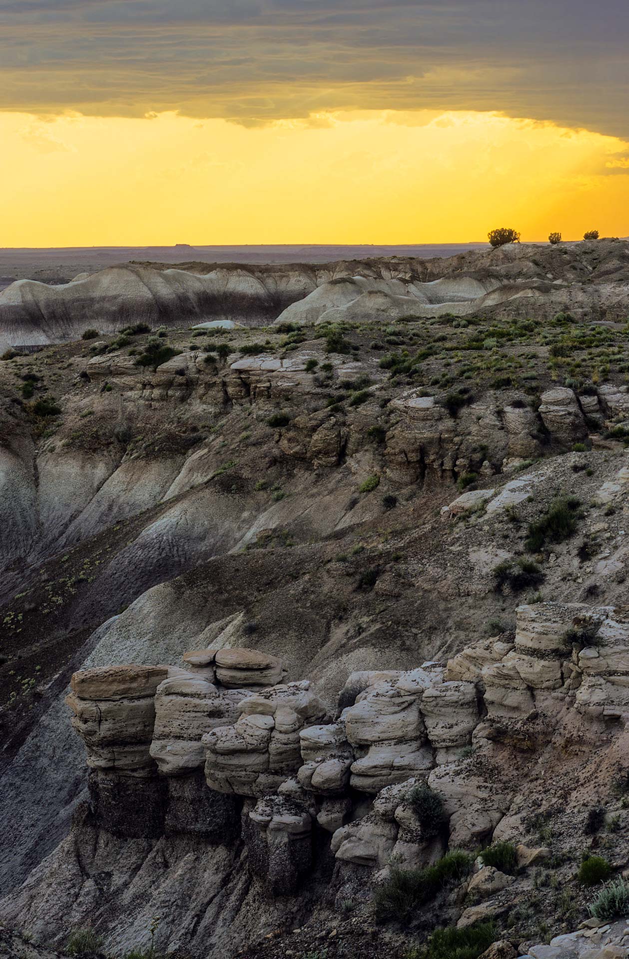 Petrified Forest NP