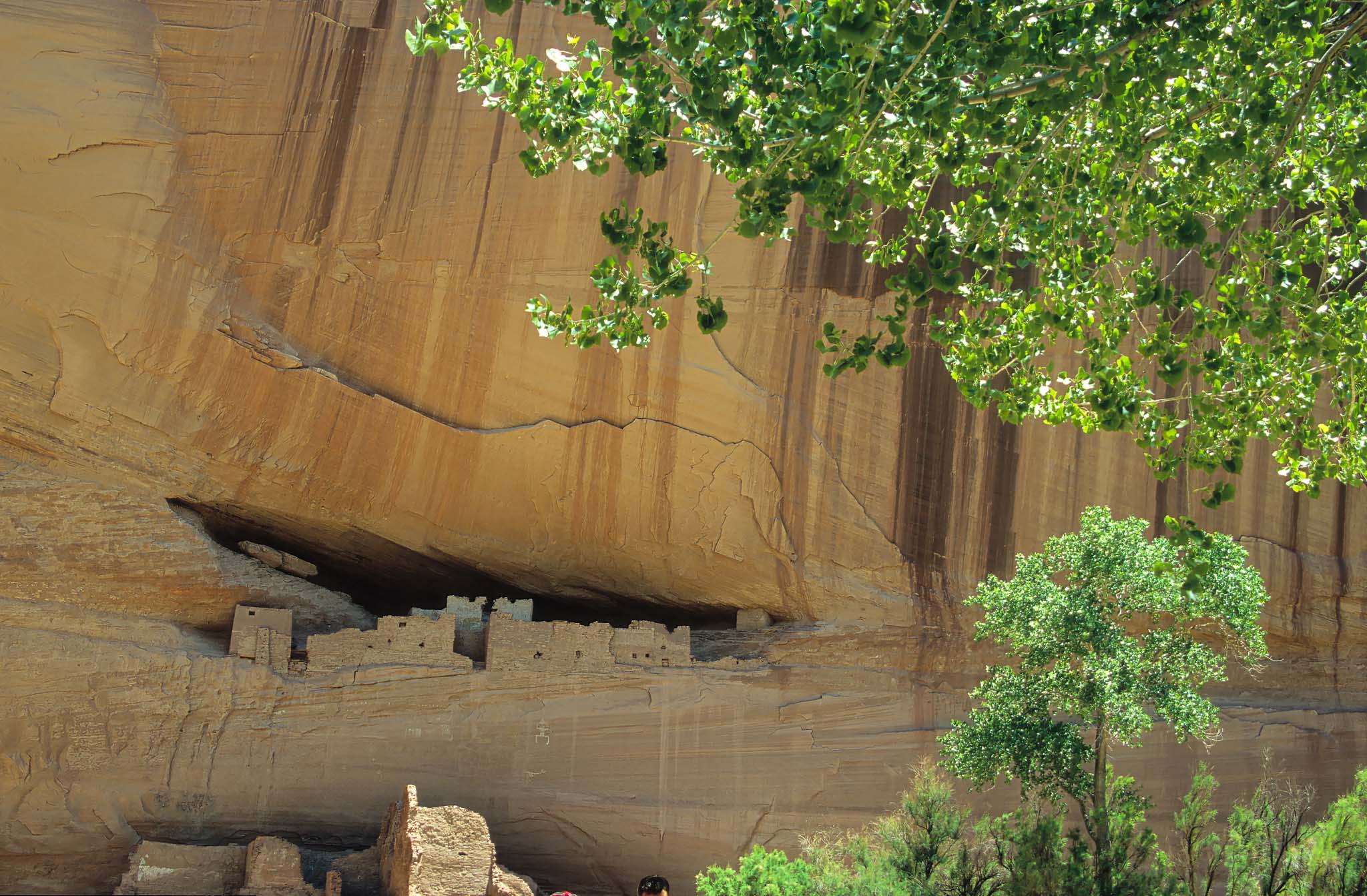 Canyon de Chelly AZ