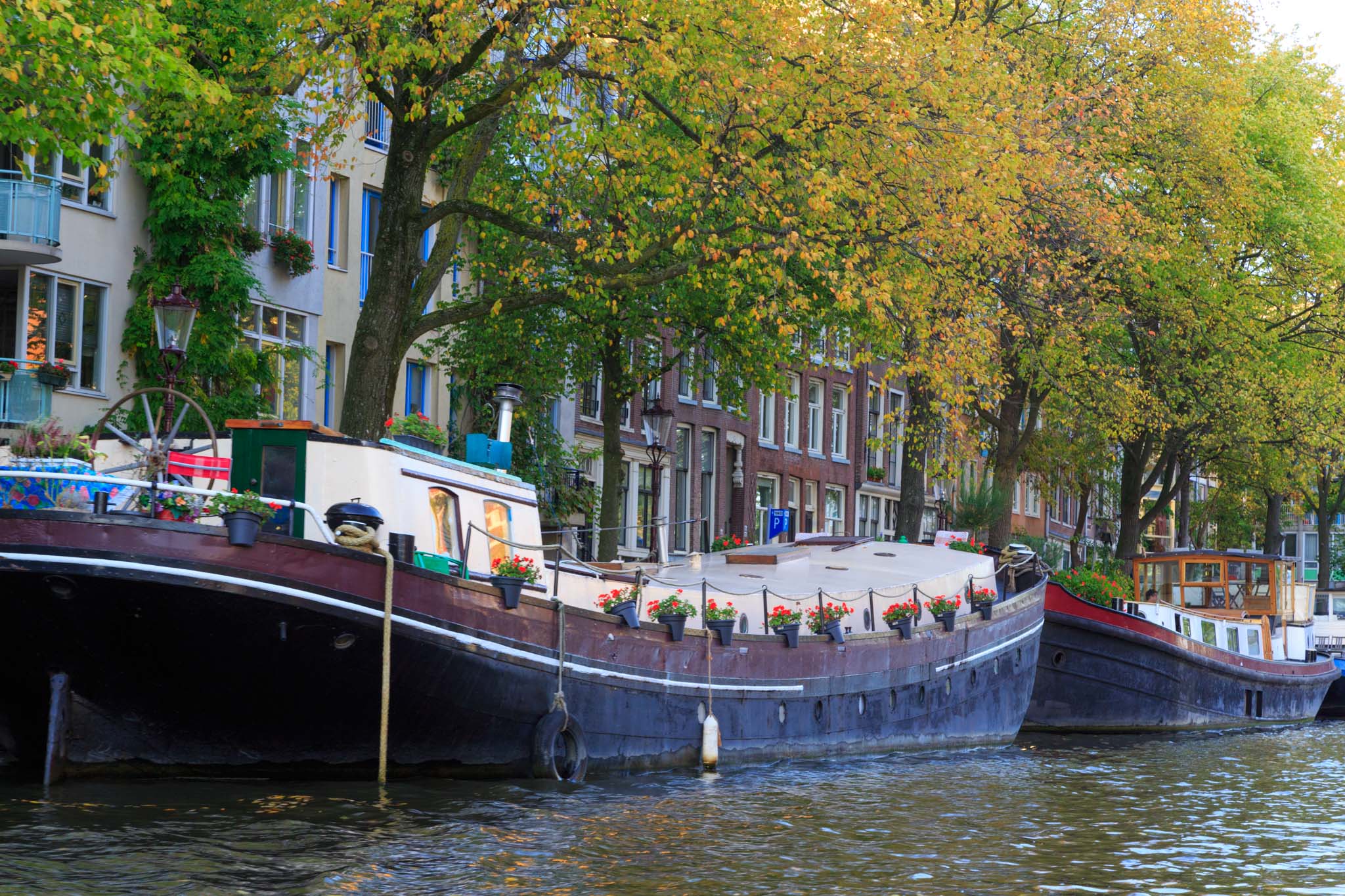 BK141018 0672