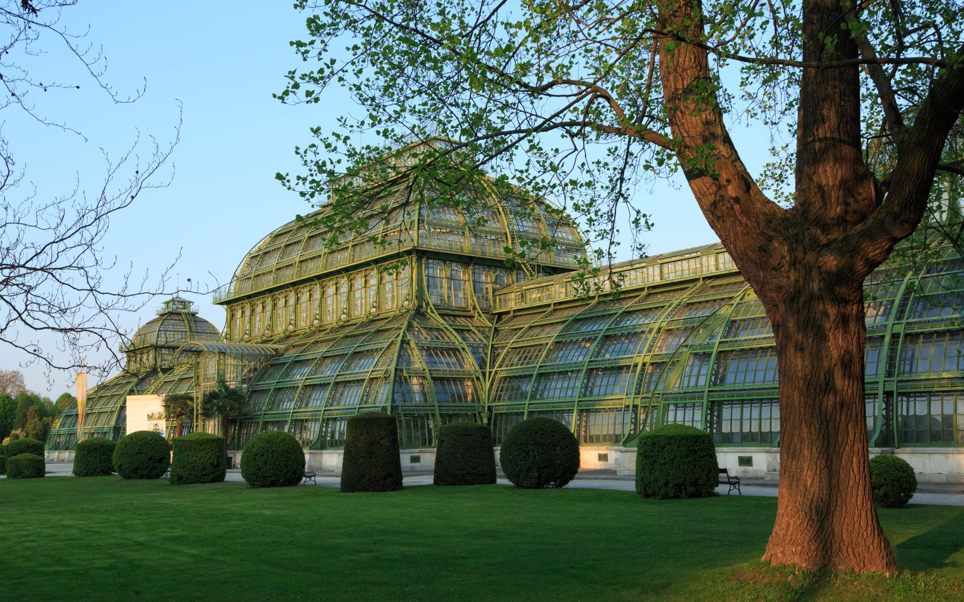 Schönbrunner Palmenhaus