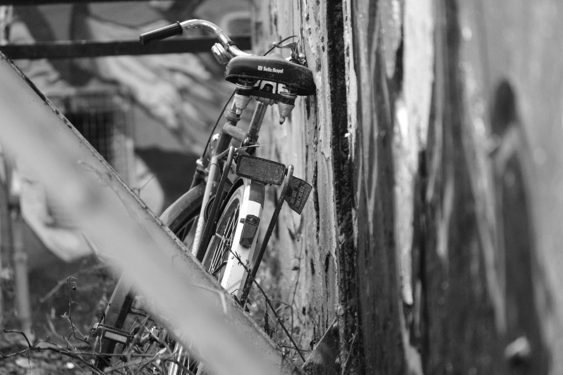 Foto: Christina Terstegge