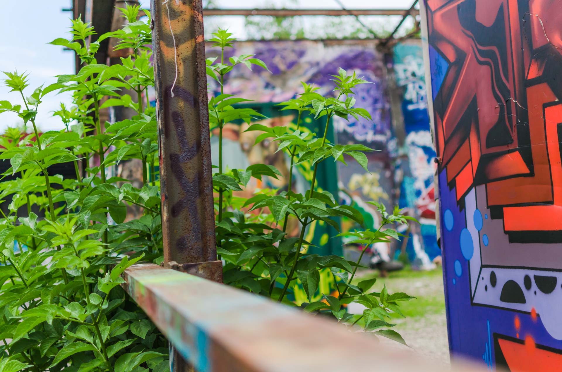 Foto: Marco Baumeister