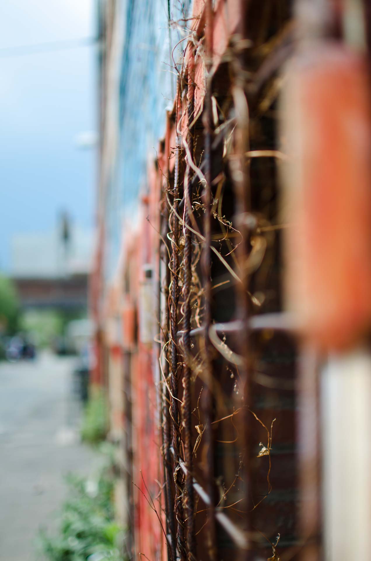 Foto: Marco Baumeister