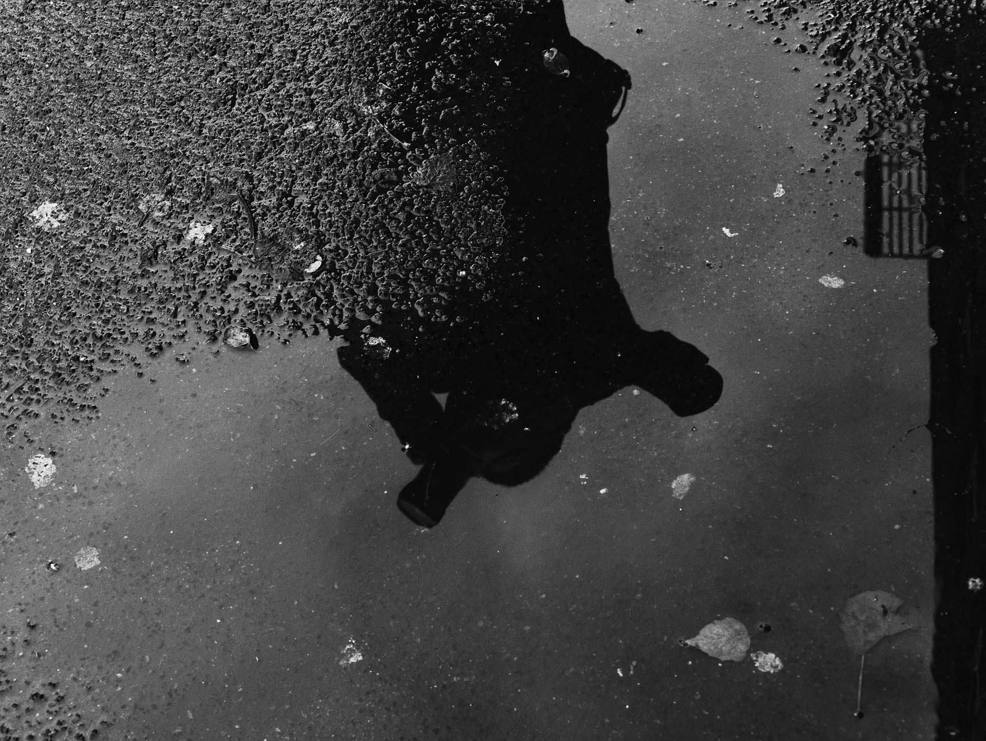 Foto: Dennis Günnewig