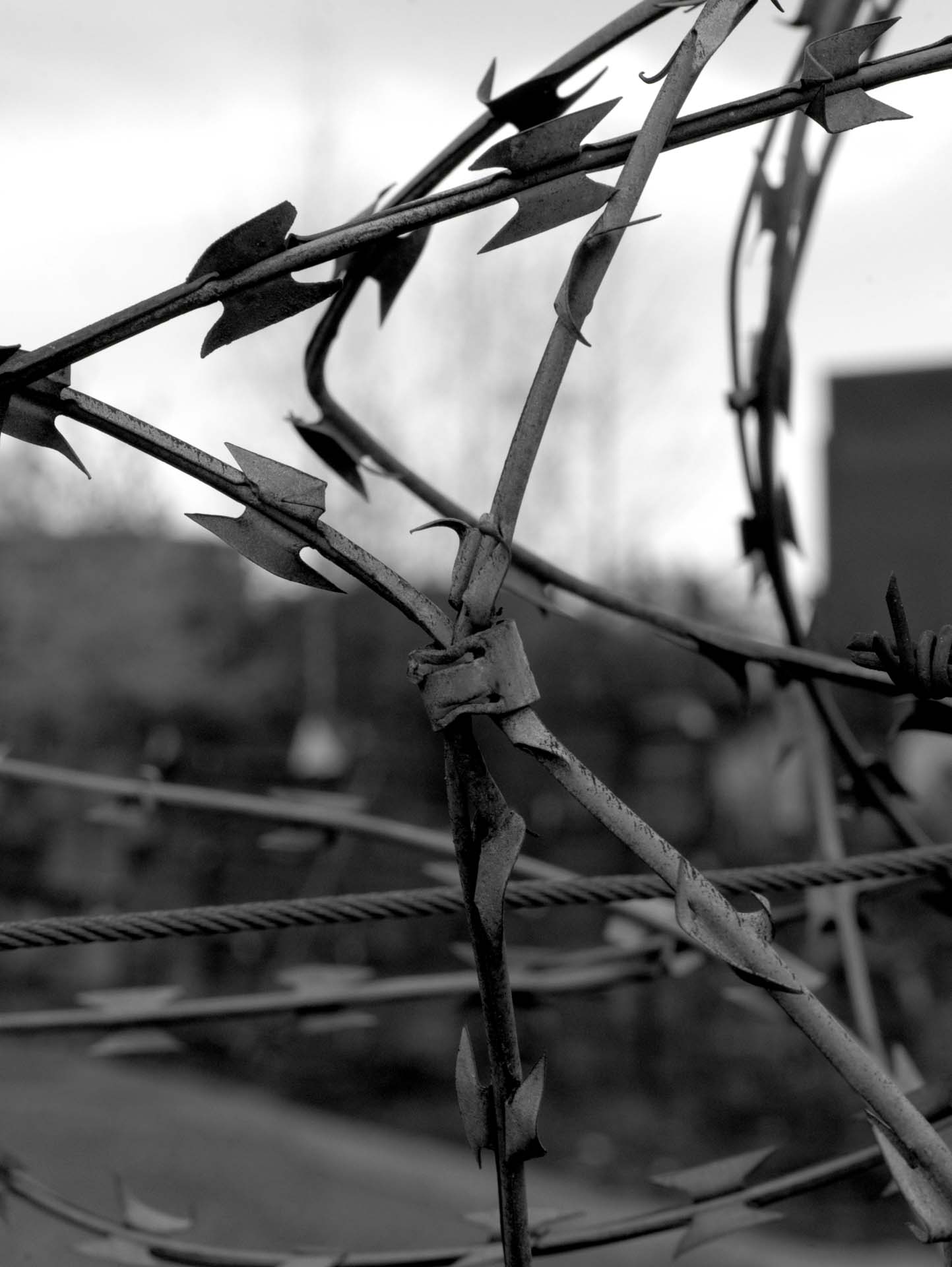 Foto: Dennis Günnewig