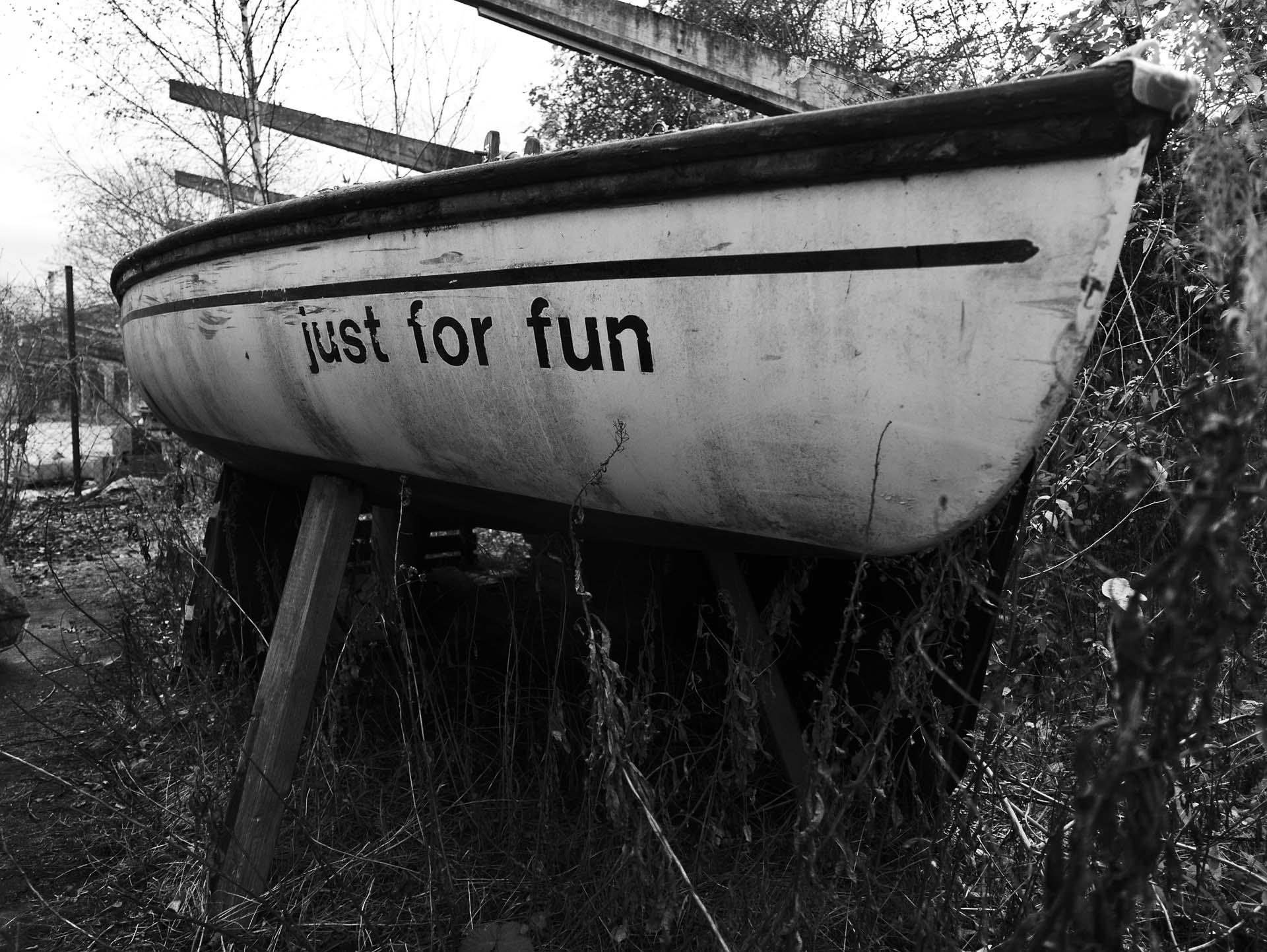 Foto: Dennis Günnewig