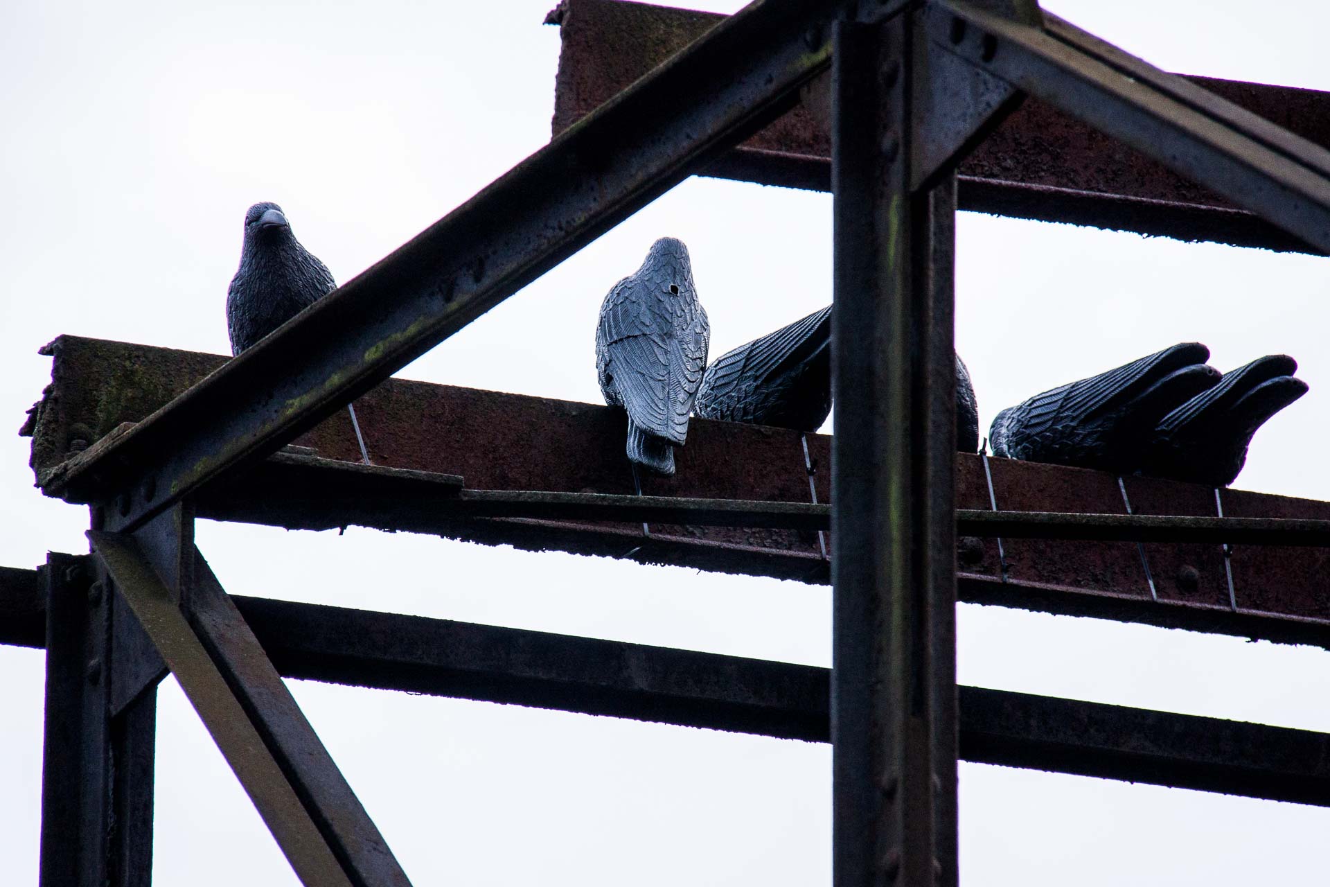 Foto: Michael Tomberge