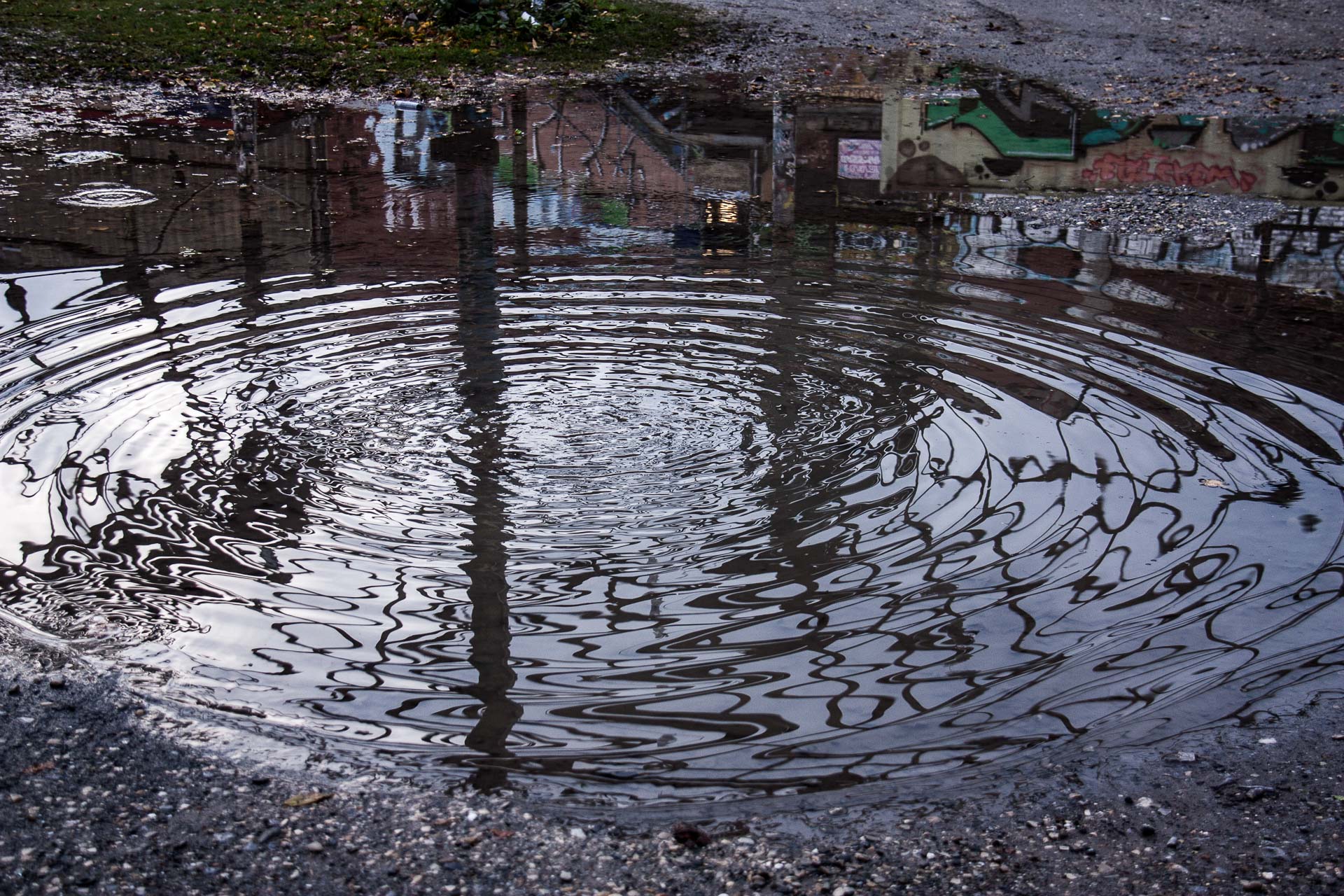 Foto: Michael Tomberge